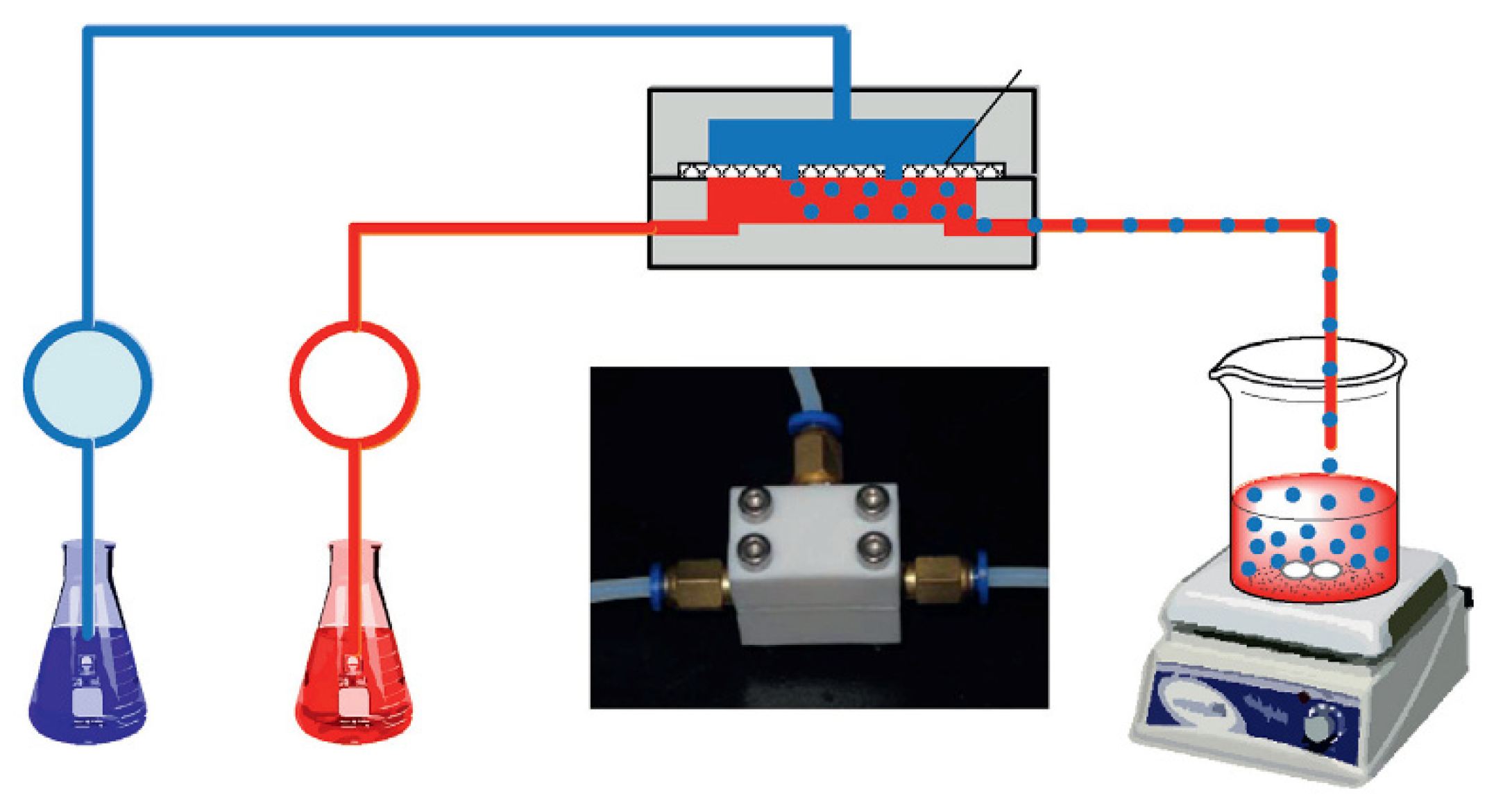 Polymers 13 02430 g005