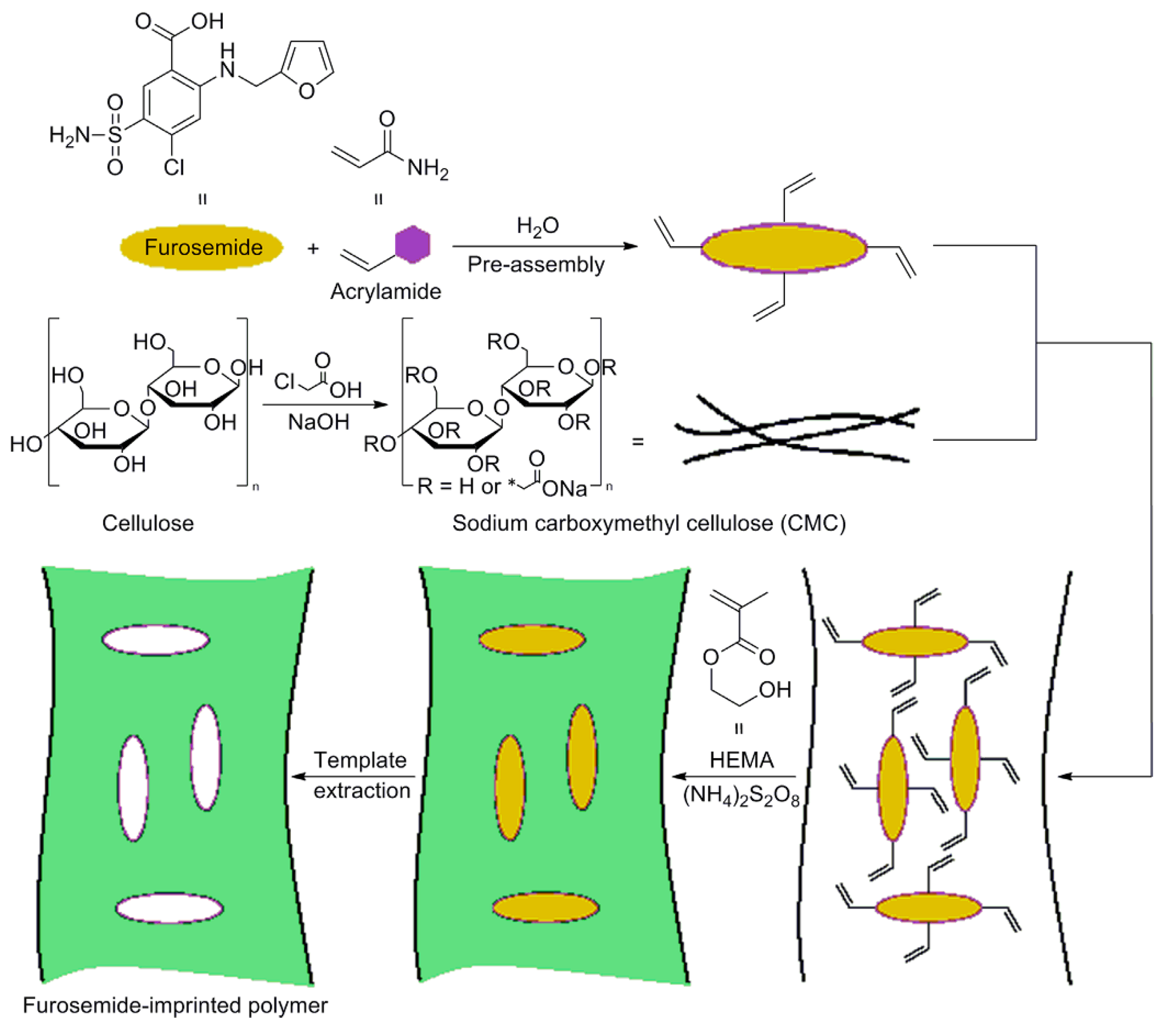 Polymers 13 02430 g006