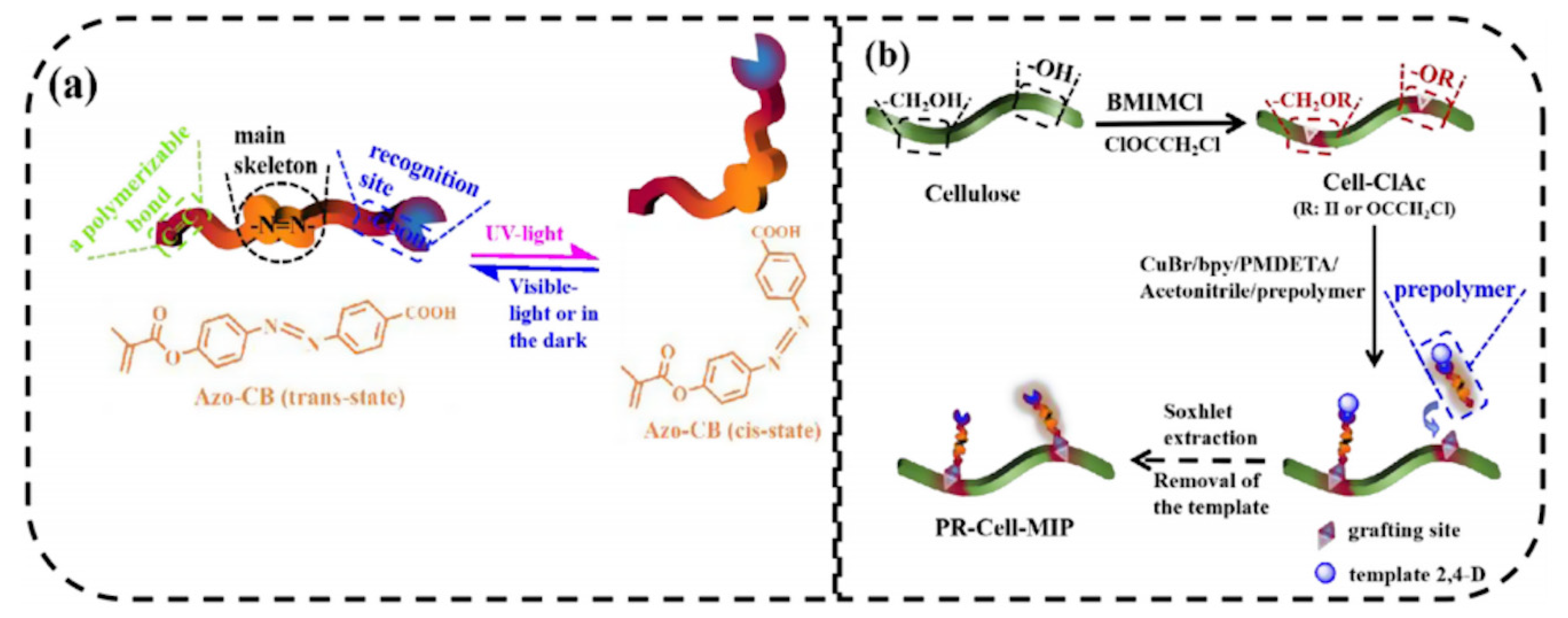 Polymers 13 02430 g007
