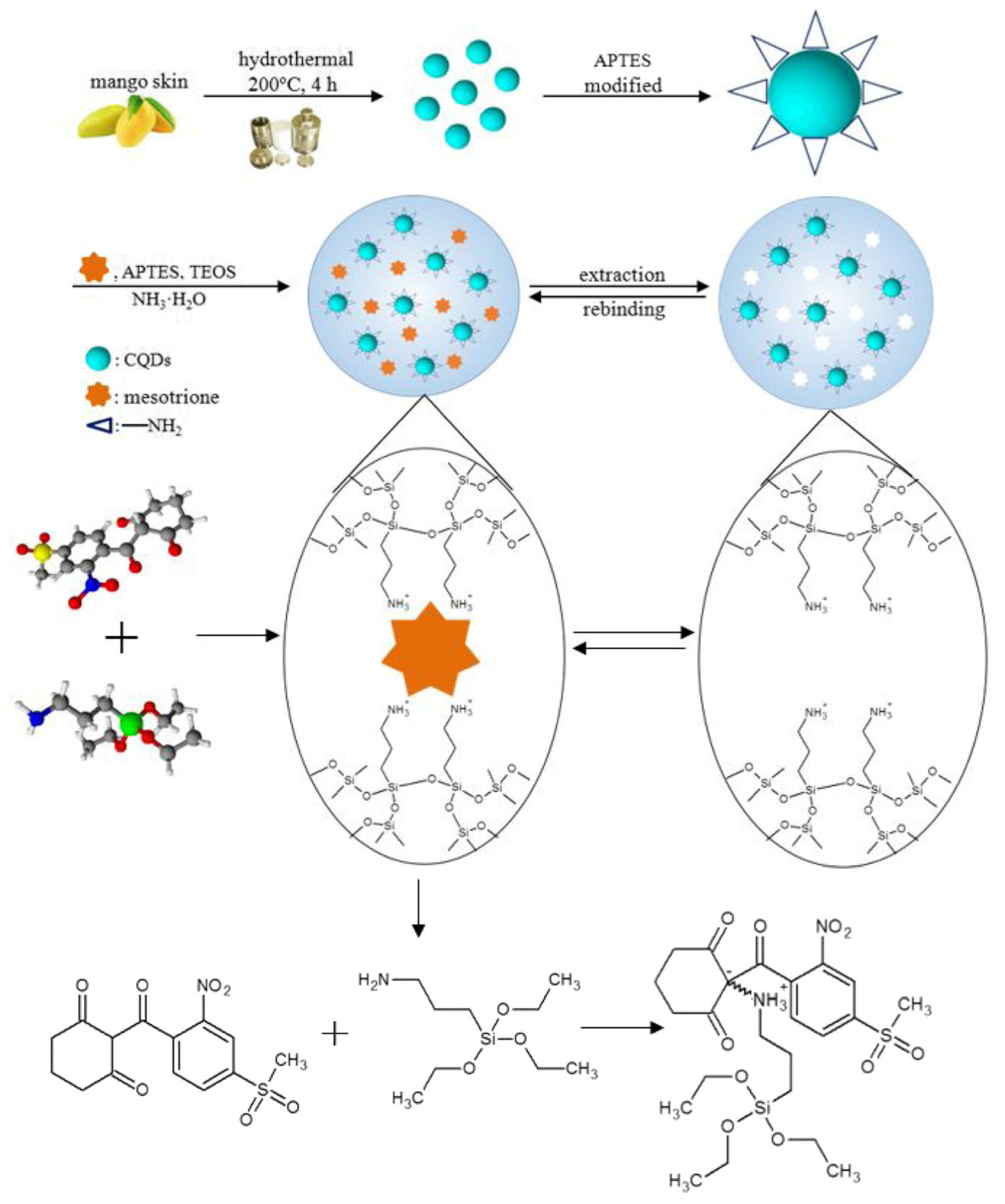 Polymers 13 02430 g010