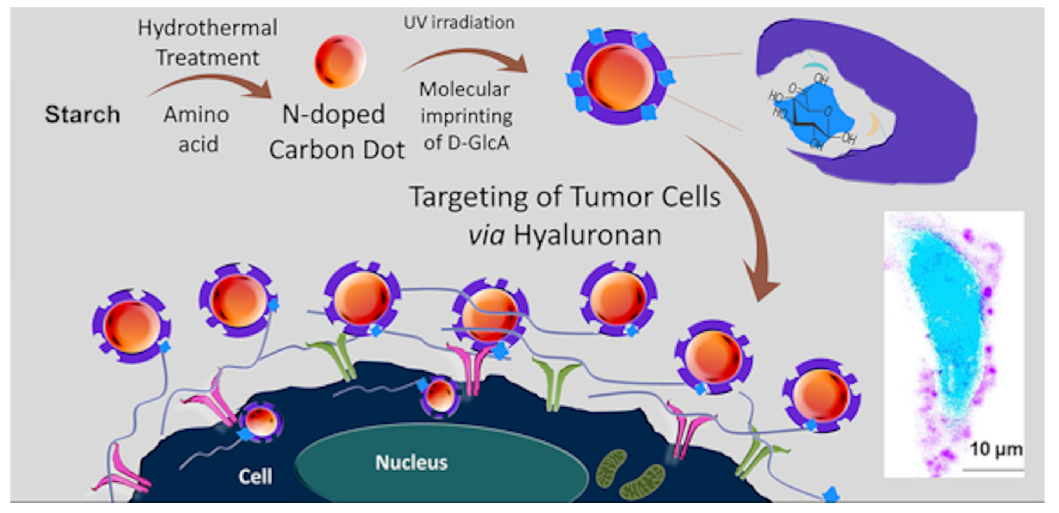Polymers 13 02430 g011