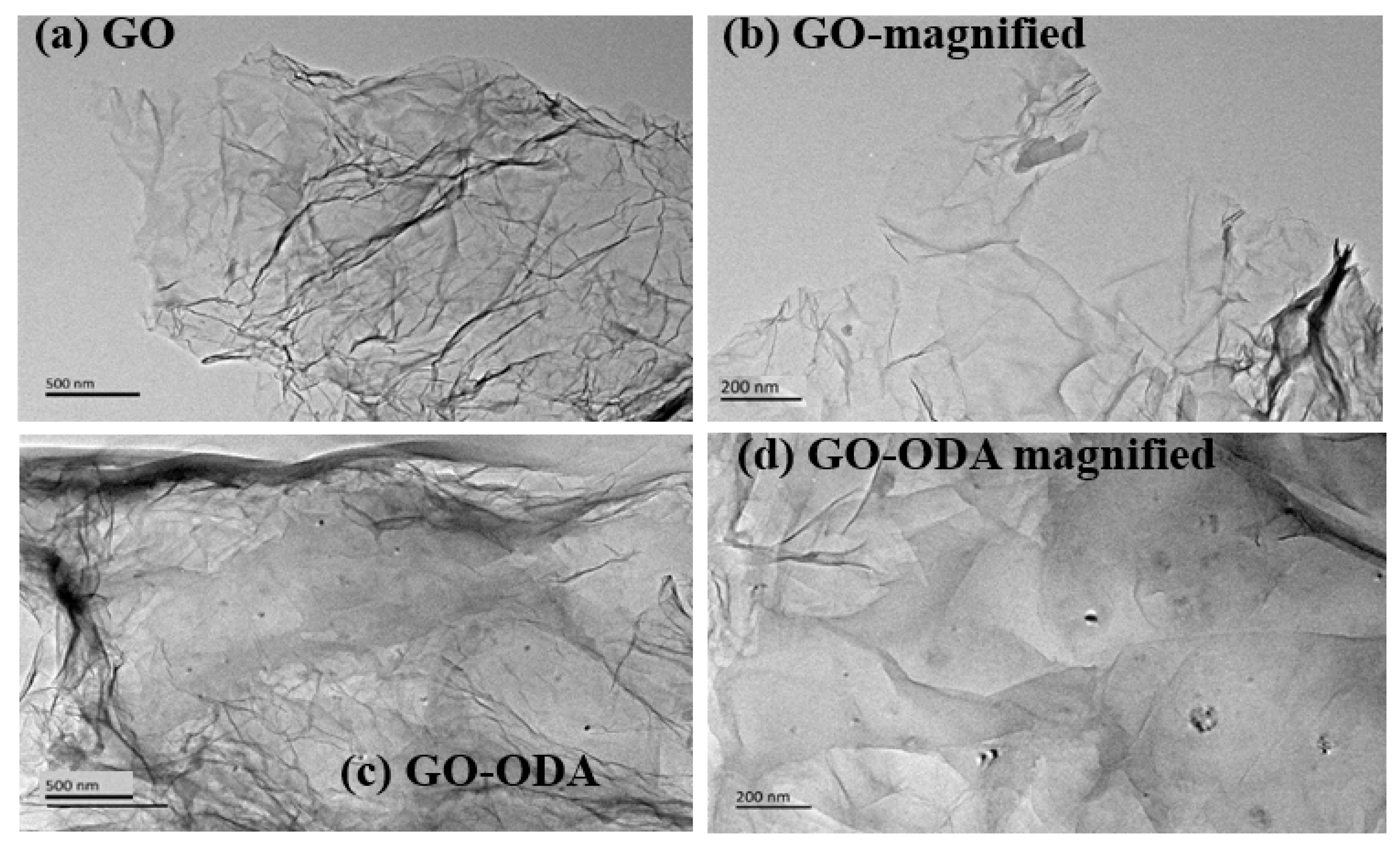 Polymers 13 02431 g003