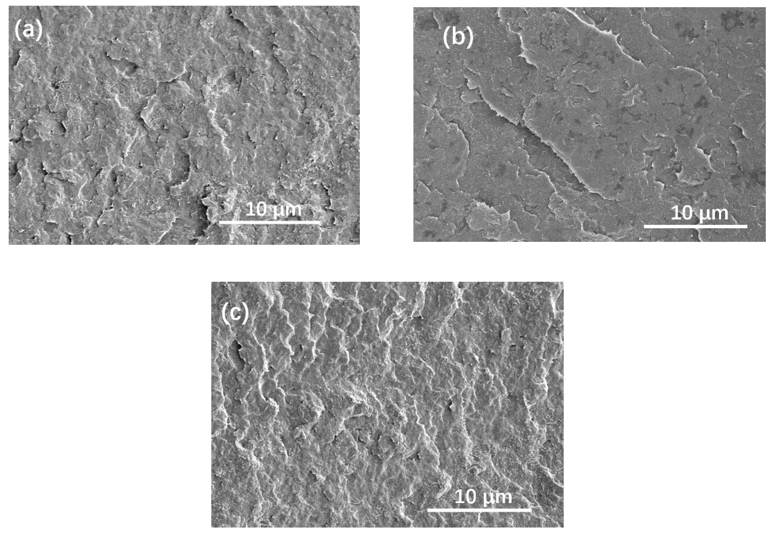 Polymers 13 02431 g008