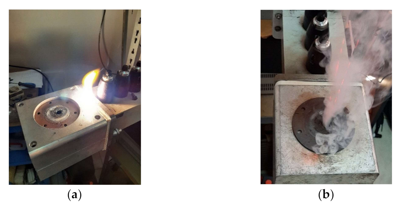 Polymers 13 02432 g011