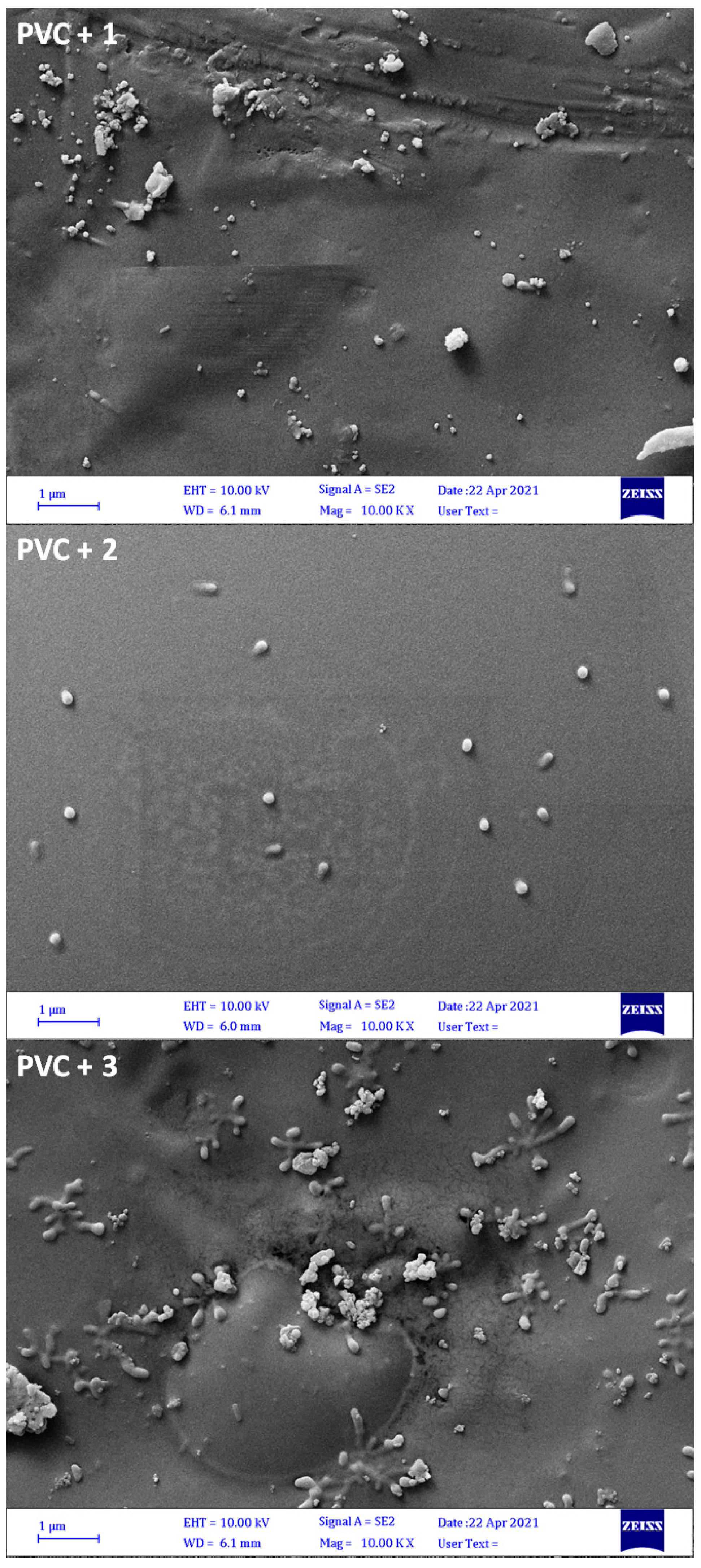 Polymers 13 02434 g008