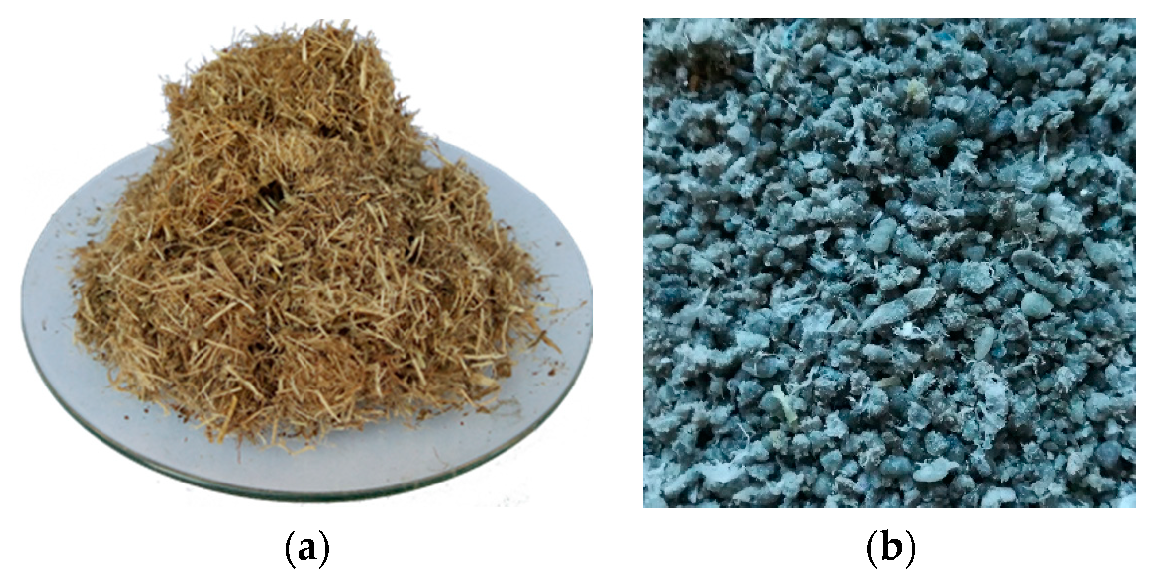 Polymers 13 02436 g001