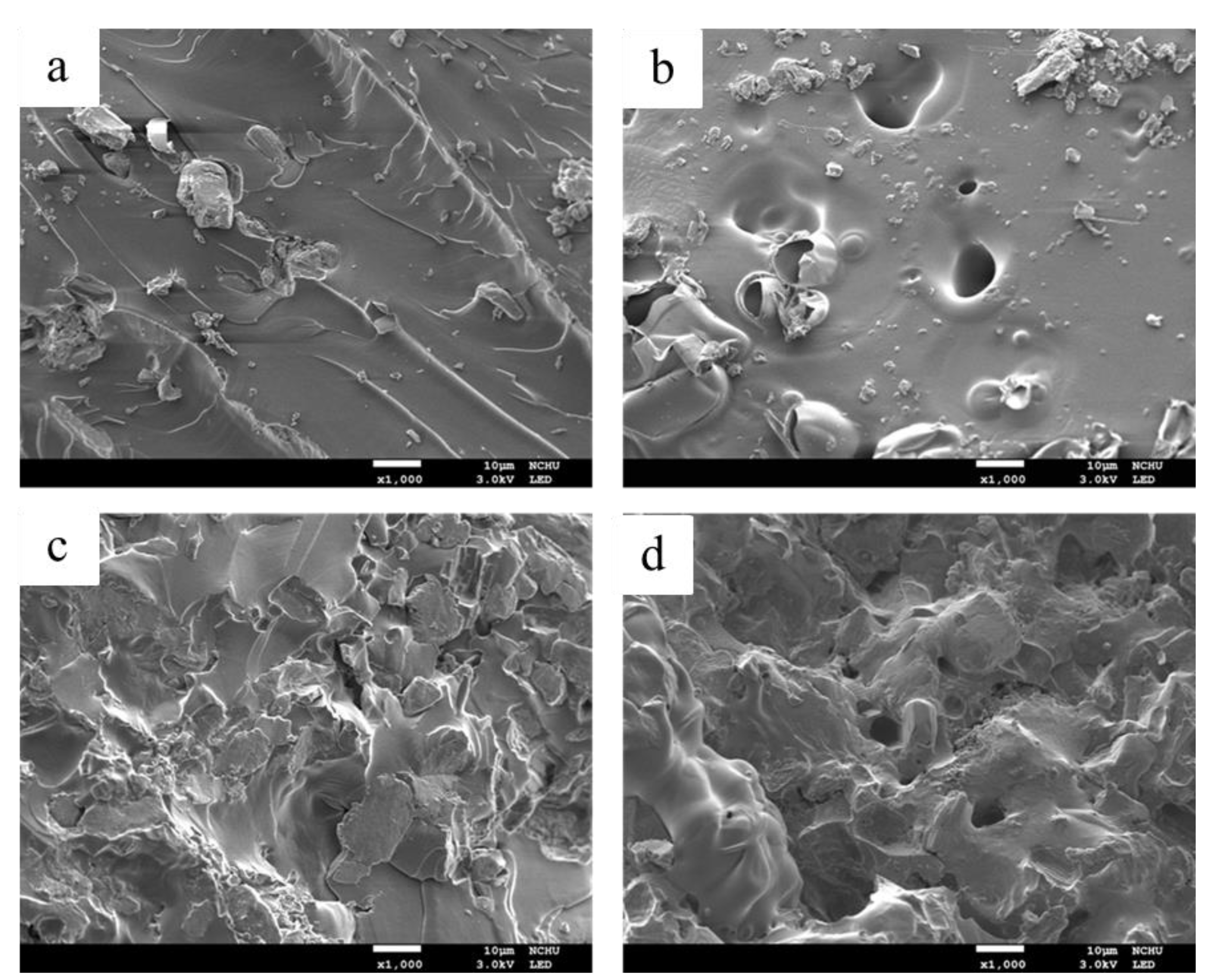 Polymers 13 02446 g005 Polymers 13 02446 g005