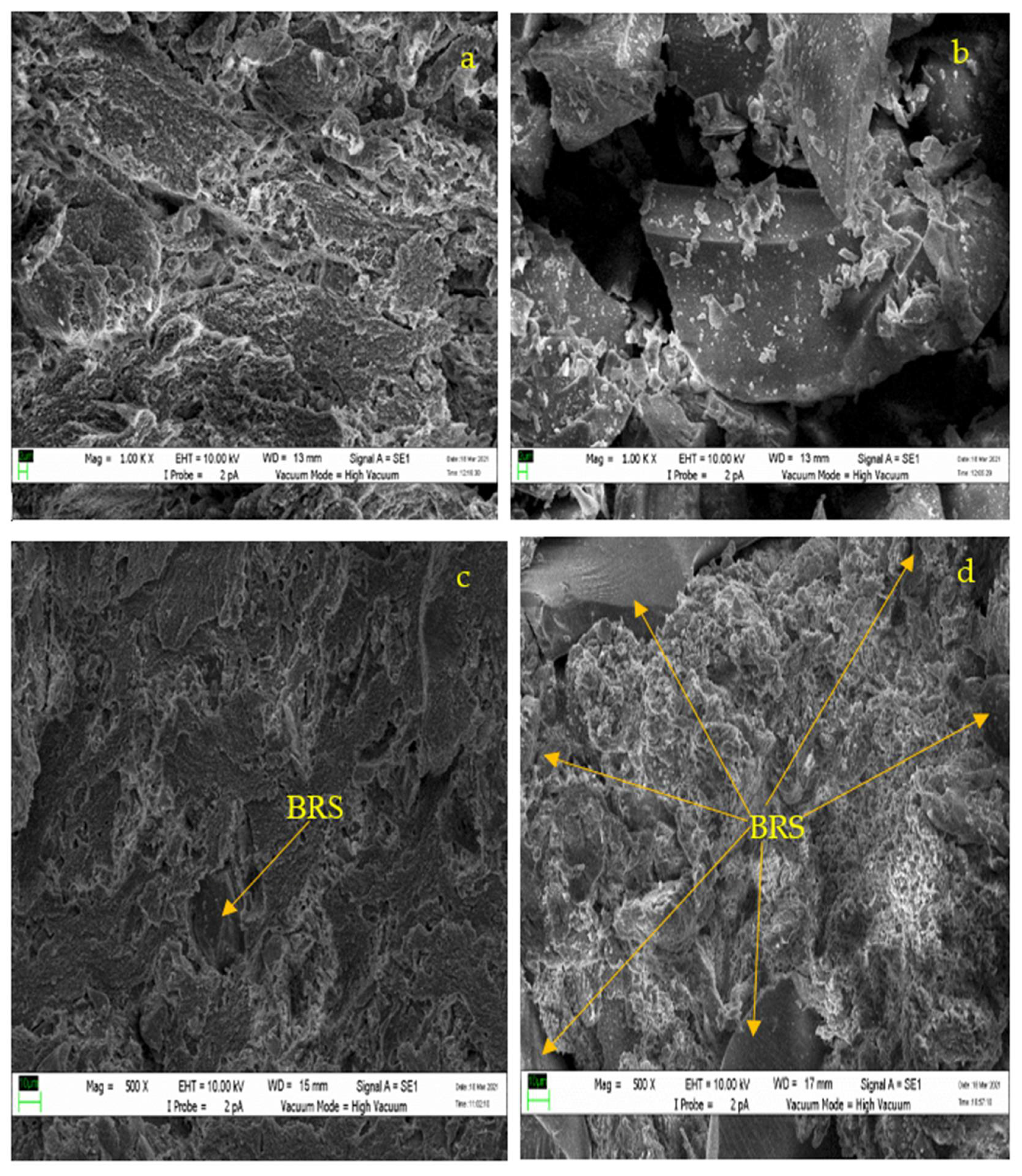 Polymers 13 02449 g003