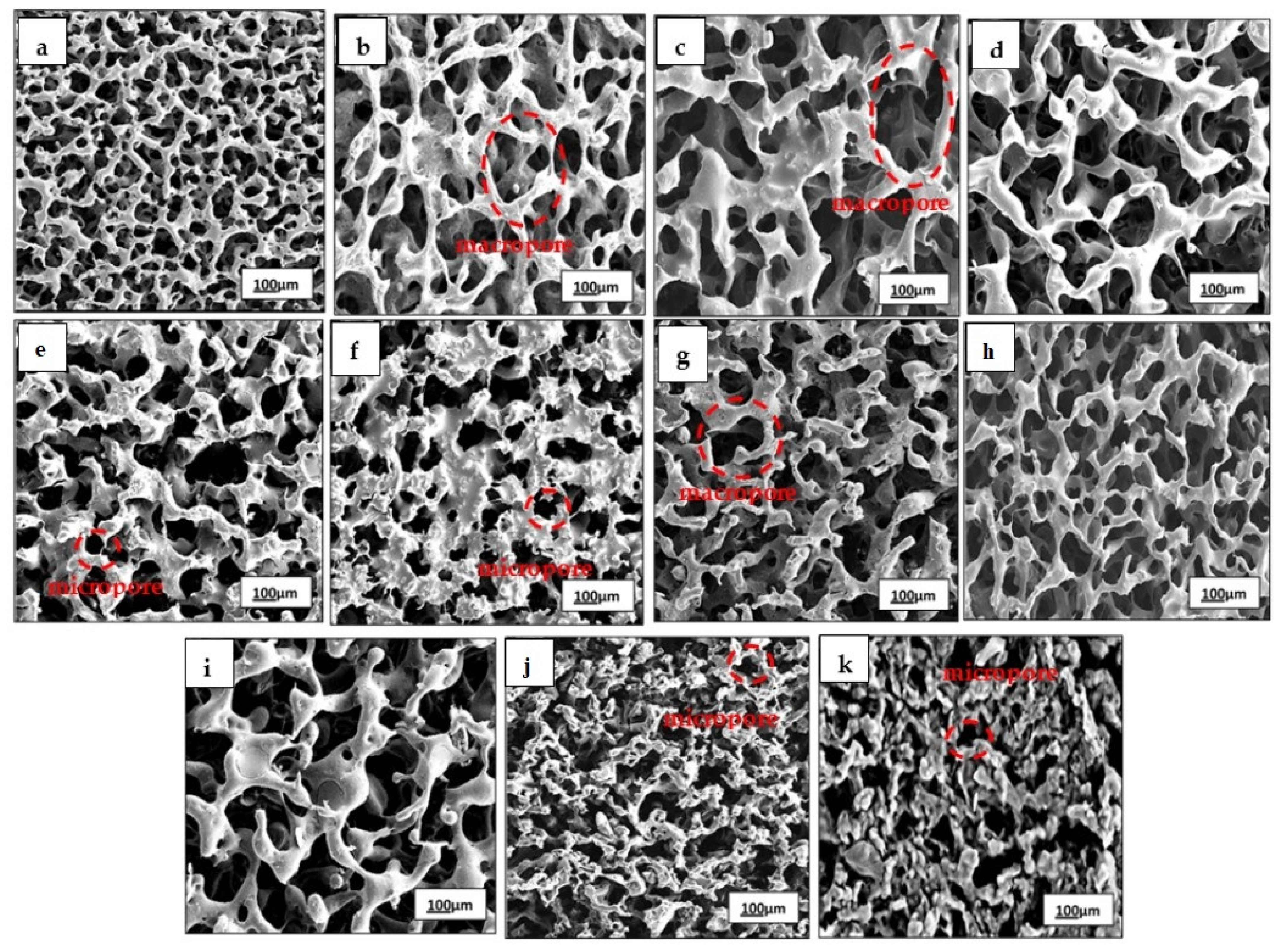 Polymers 13 02454 g002