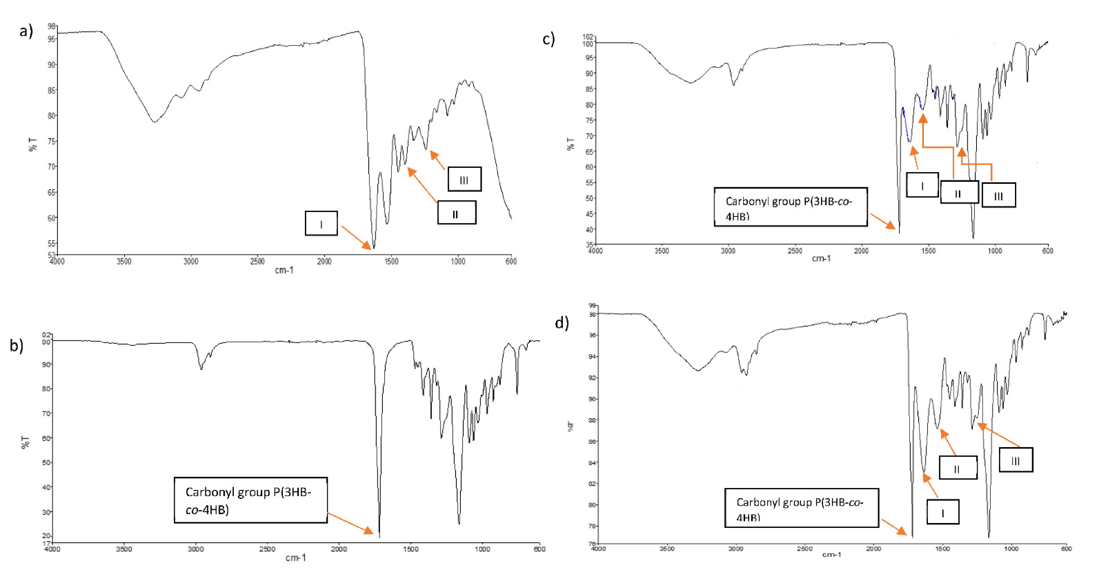 Polymers 13 02454 g004