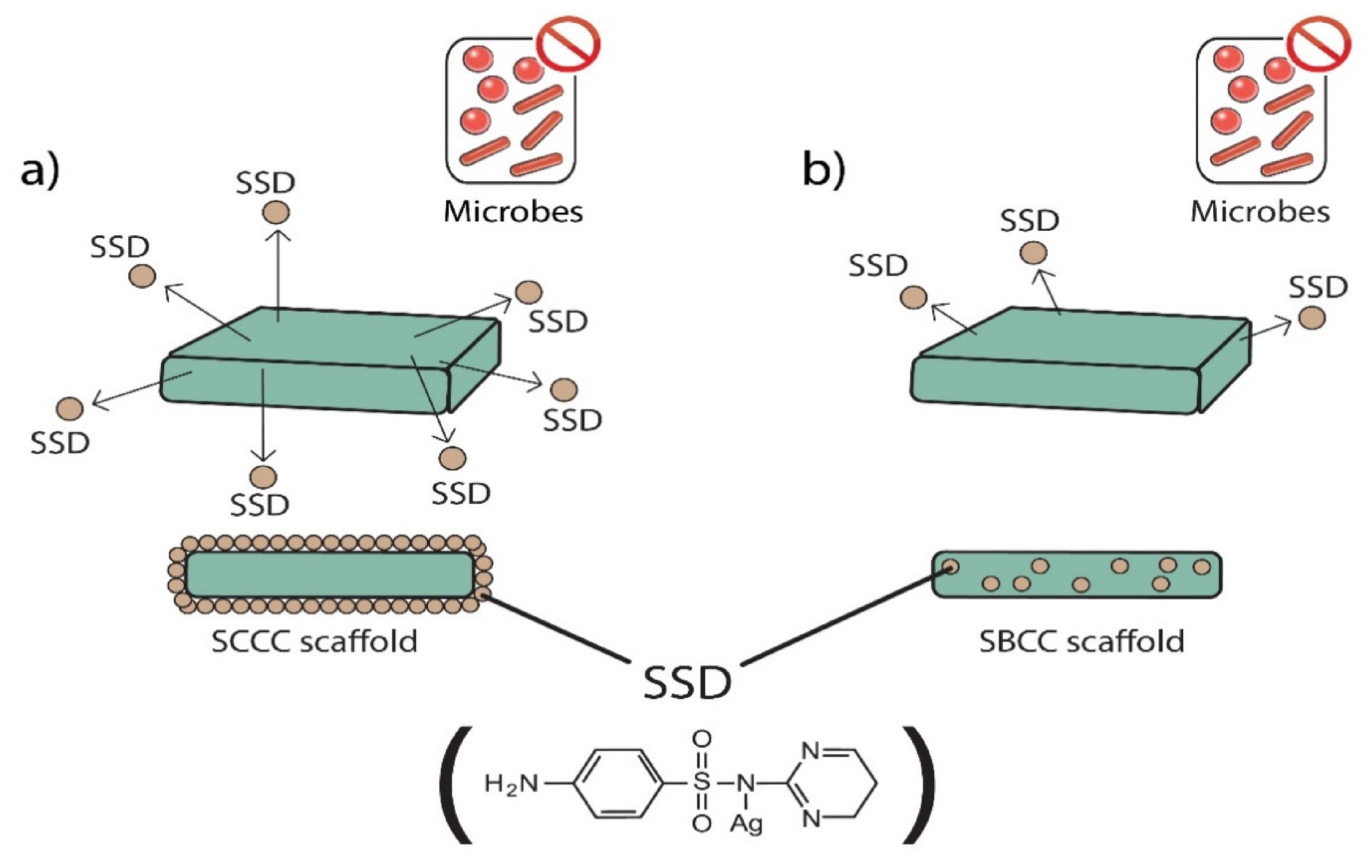 Polymers 13 02454 g009