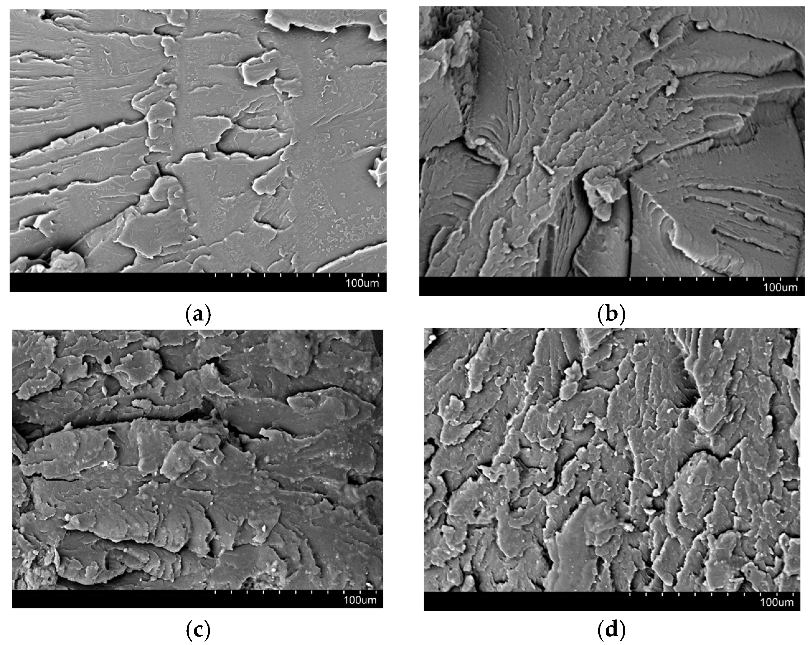 Polymers 13 02455 g006a