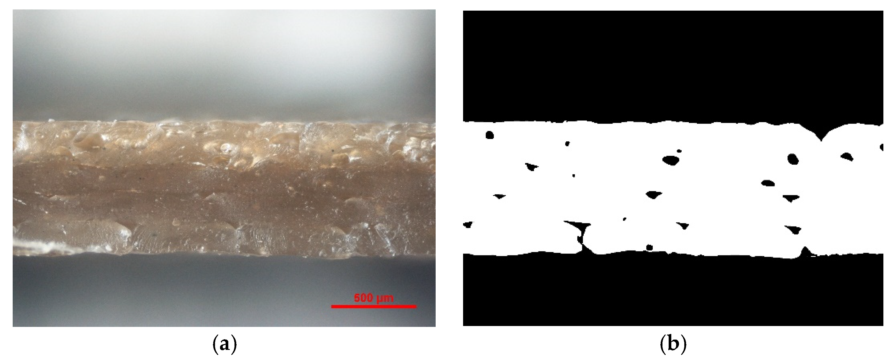Polymers 13 02455 g009