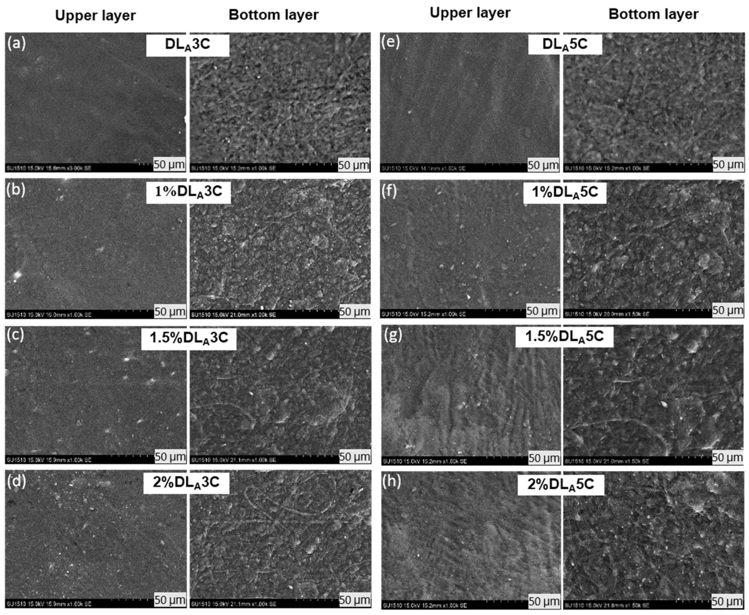 Polymers 13 02459 g005