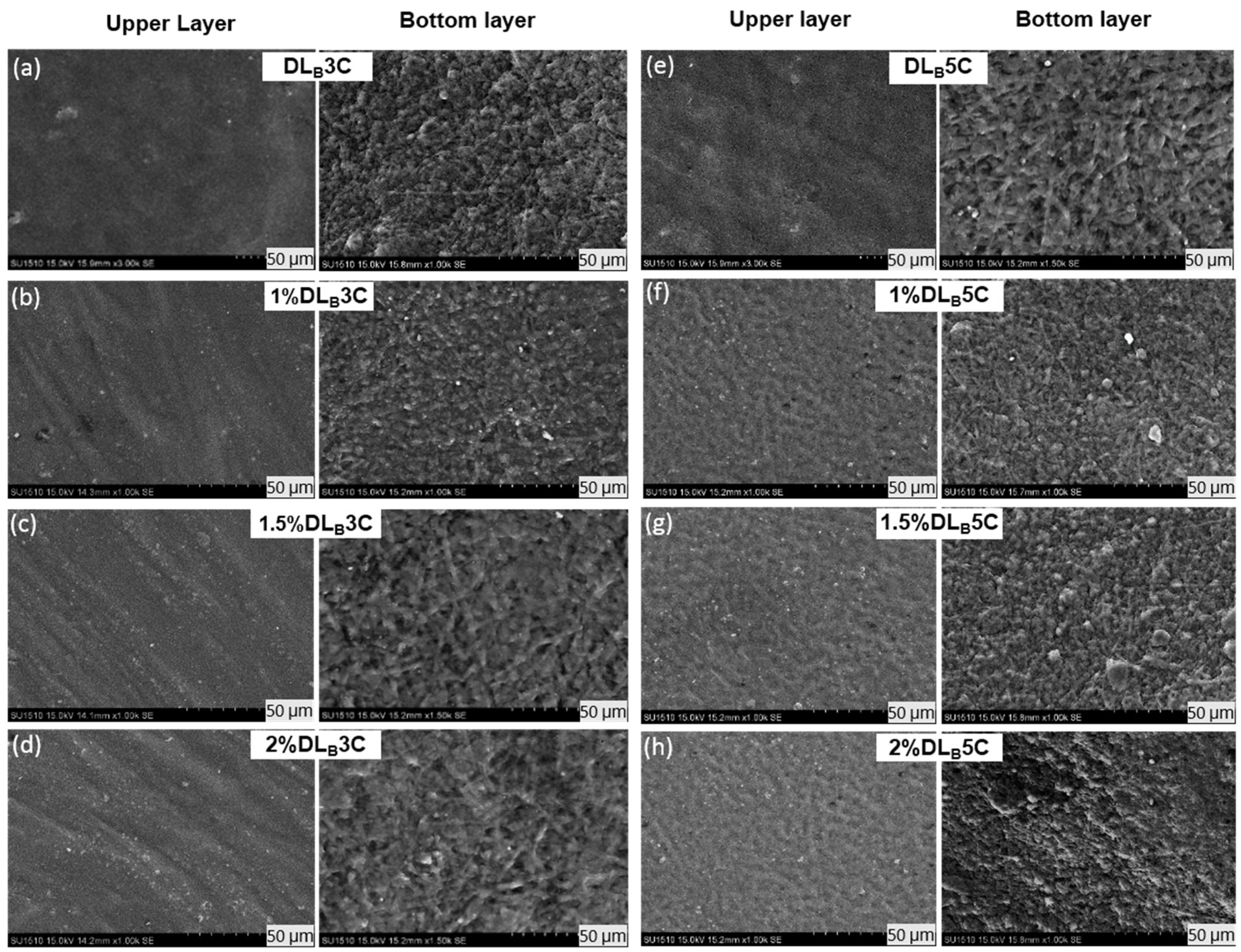 Polymers 13 02459 g006
