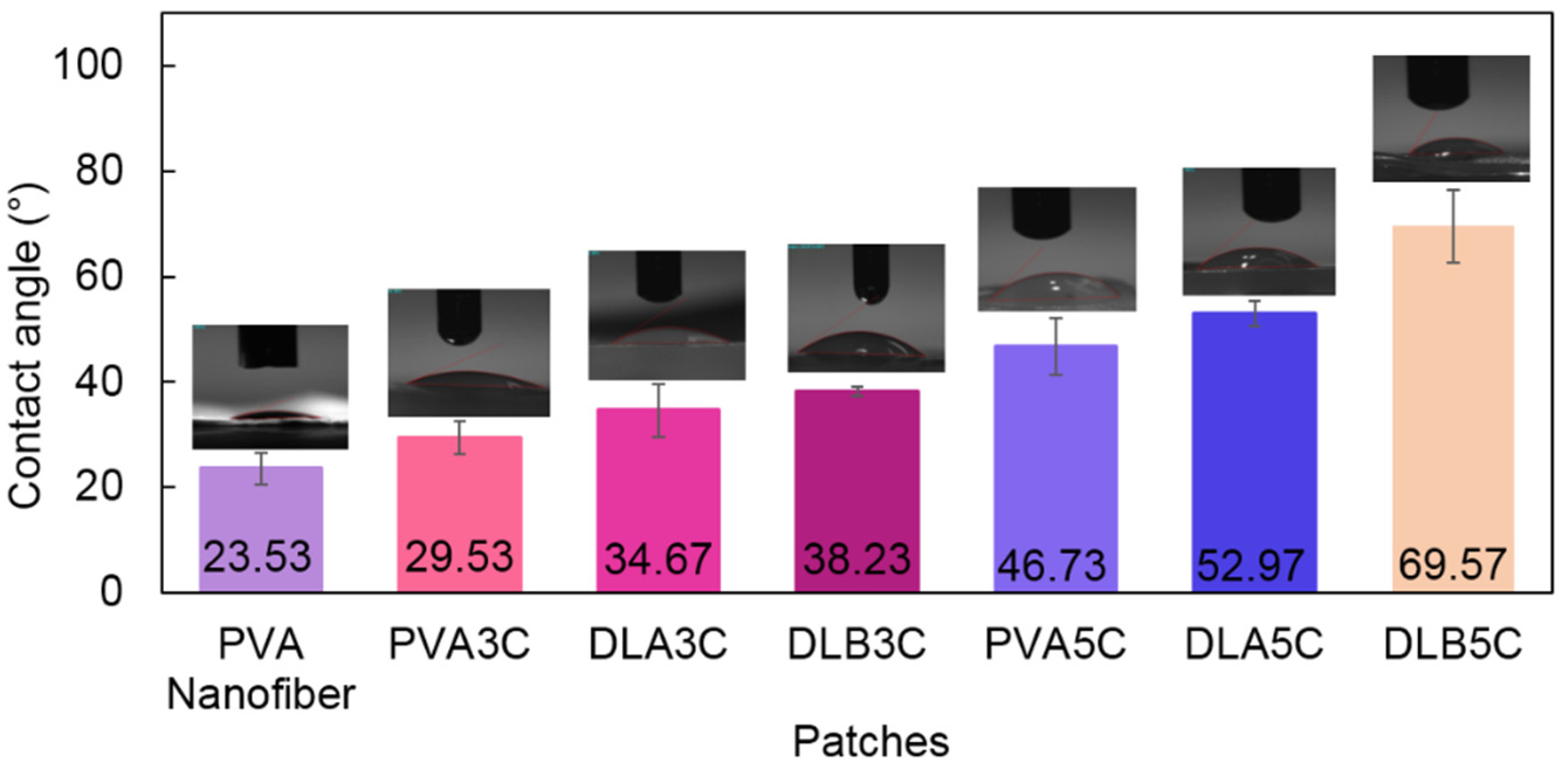 Polymers 13 02459 g011