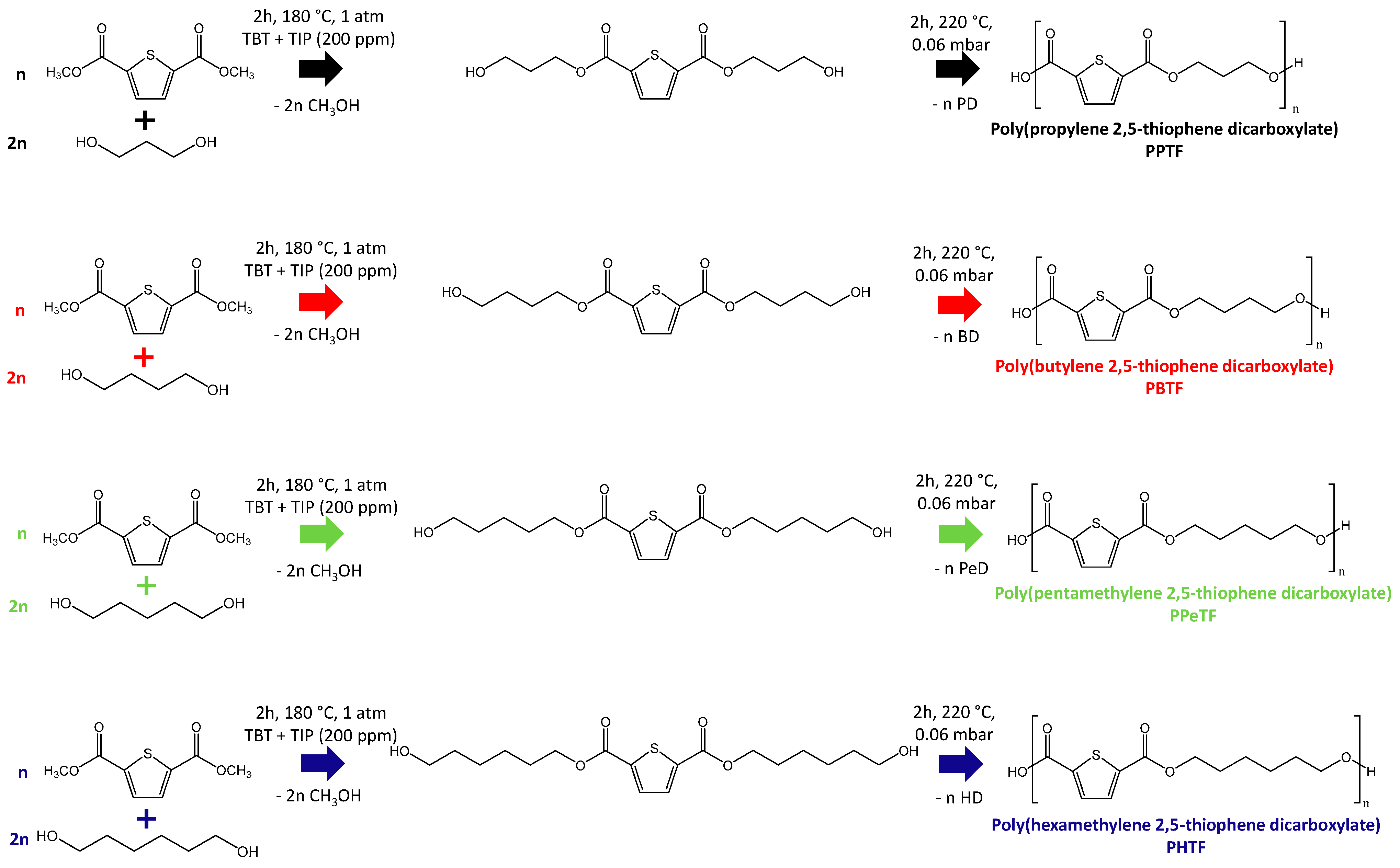 Polymers 13 02460 g001