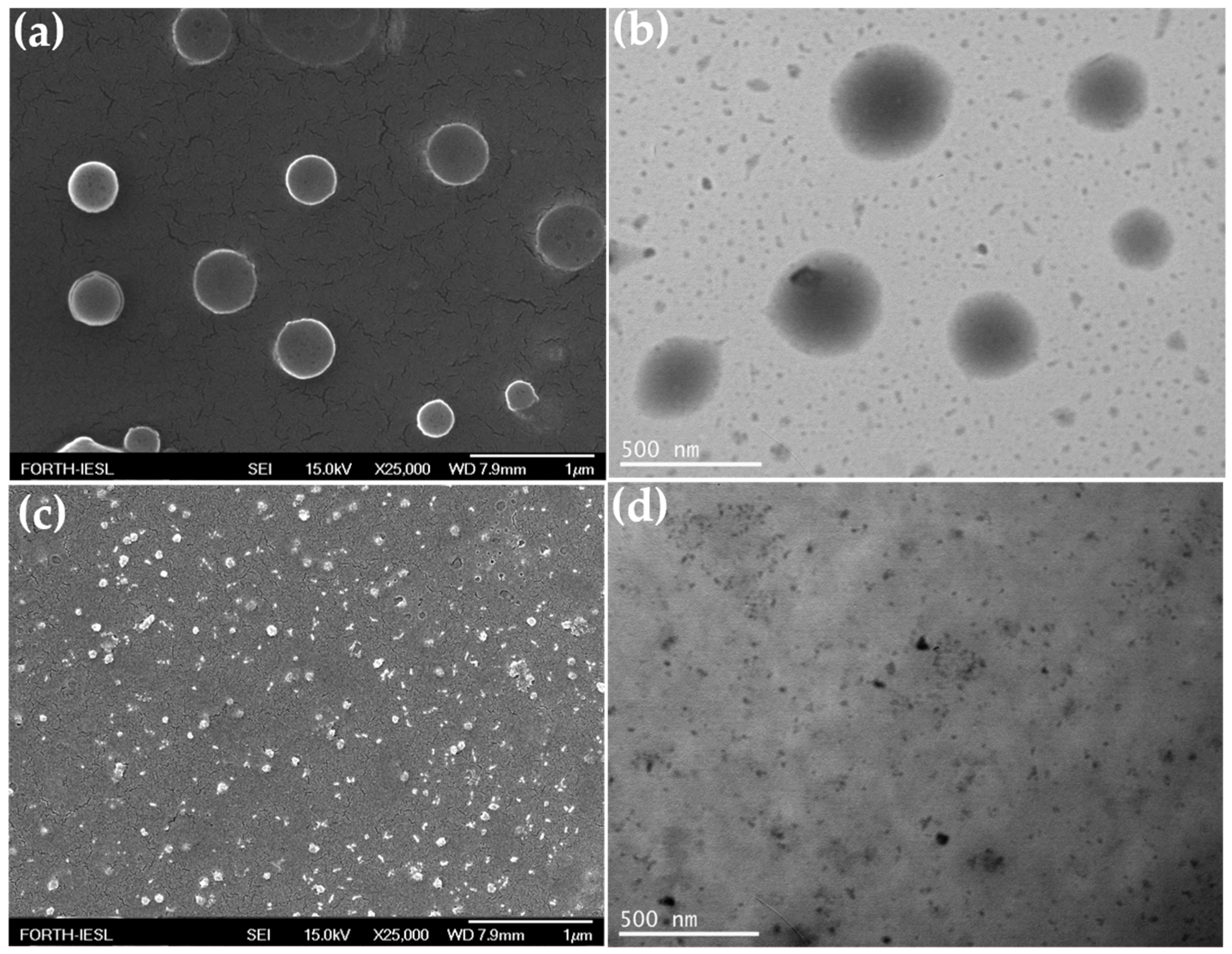 Polymers 13 02461 g011 Polymers 13 02461 g011