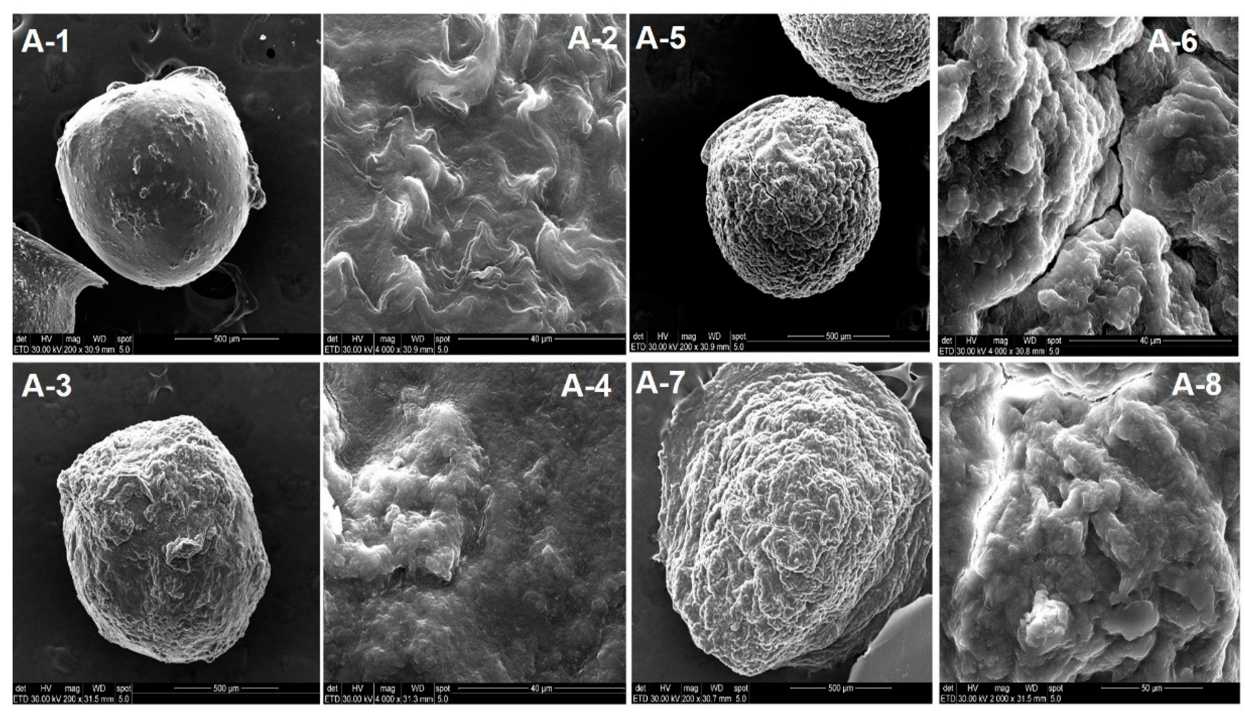 Polymers 13 02463 g010