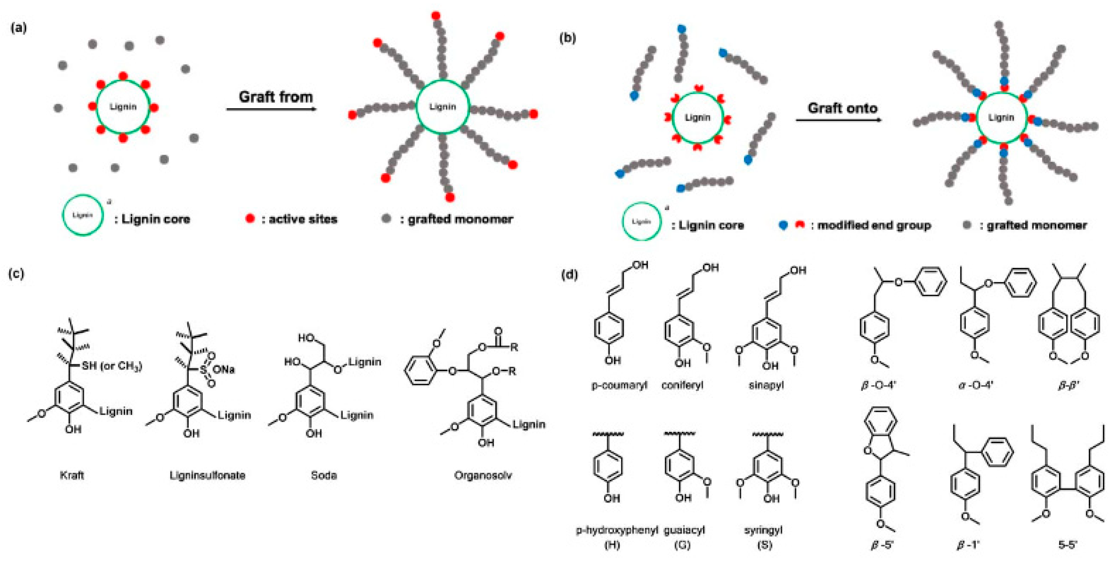 Polymers 13 02465 g001