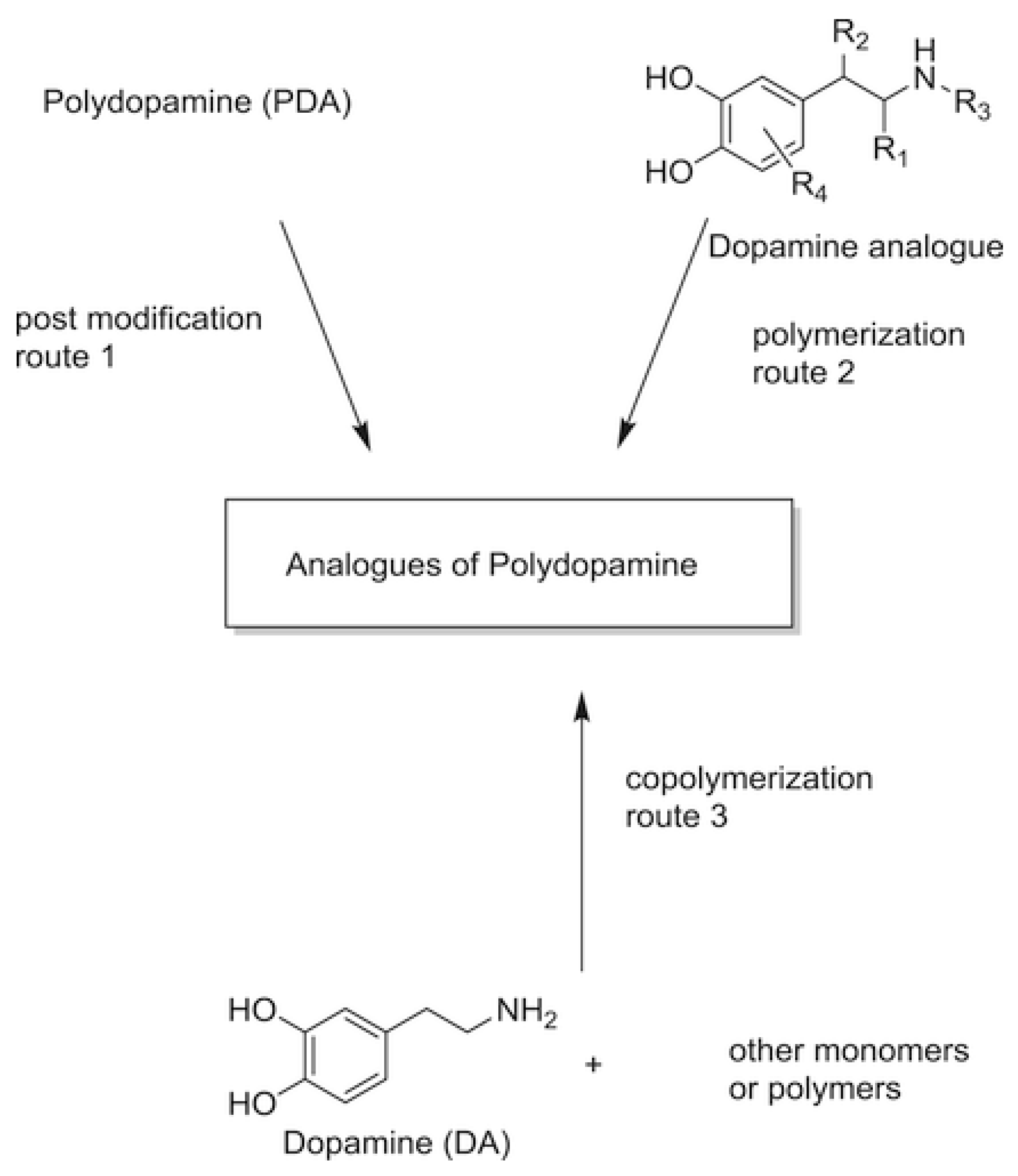 Polymers 13 02465 g004