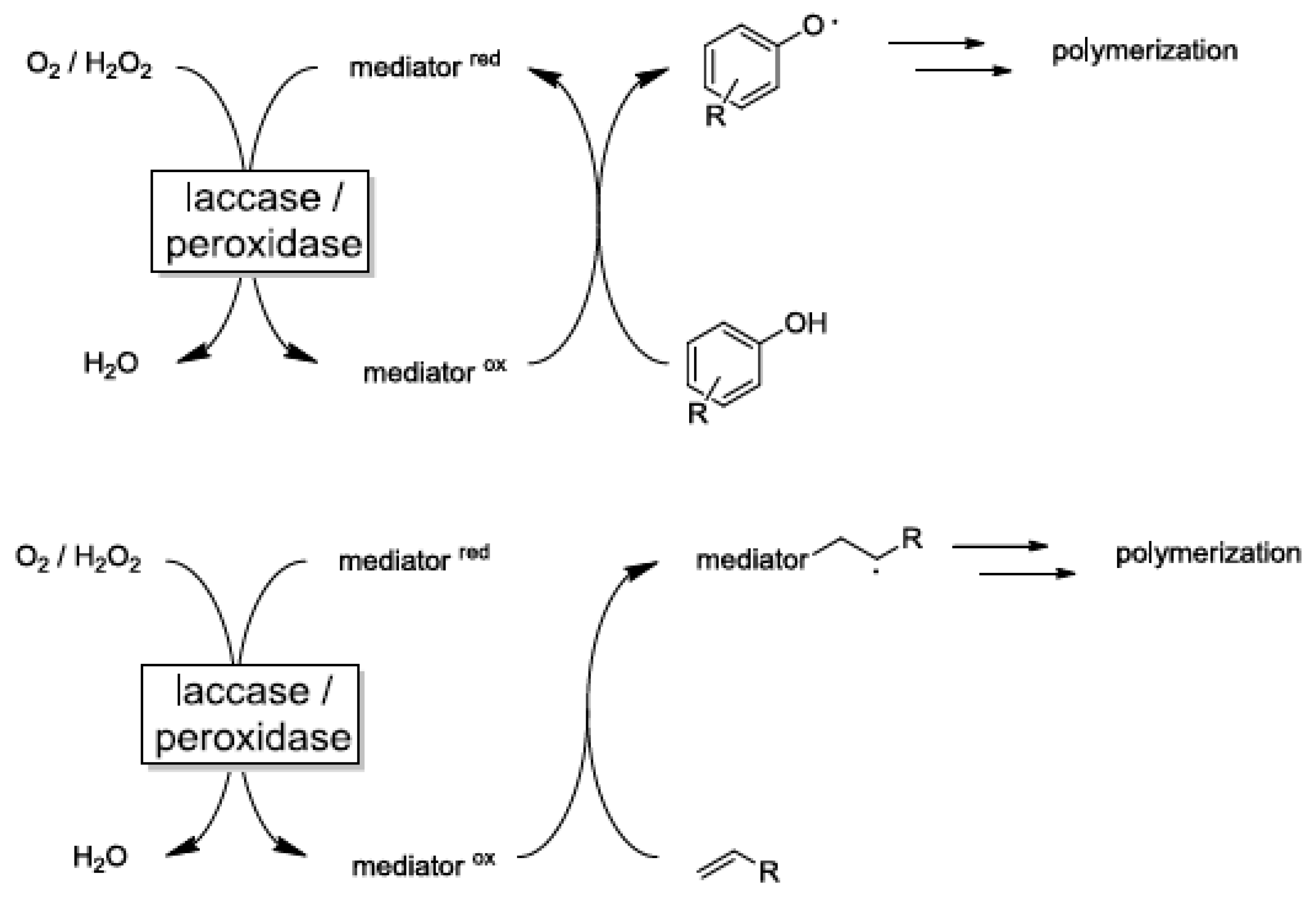 Polymers 13 02465 g005