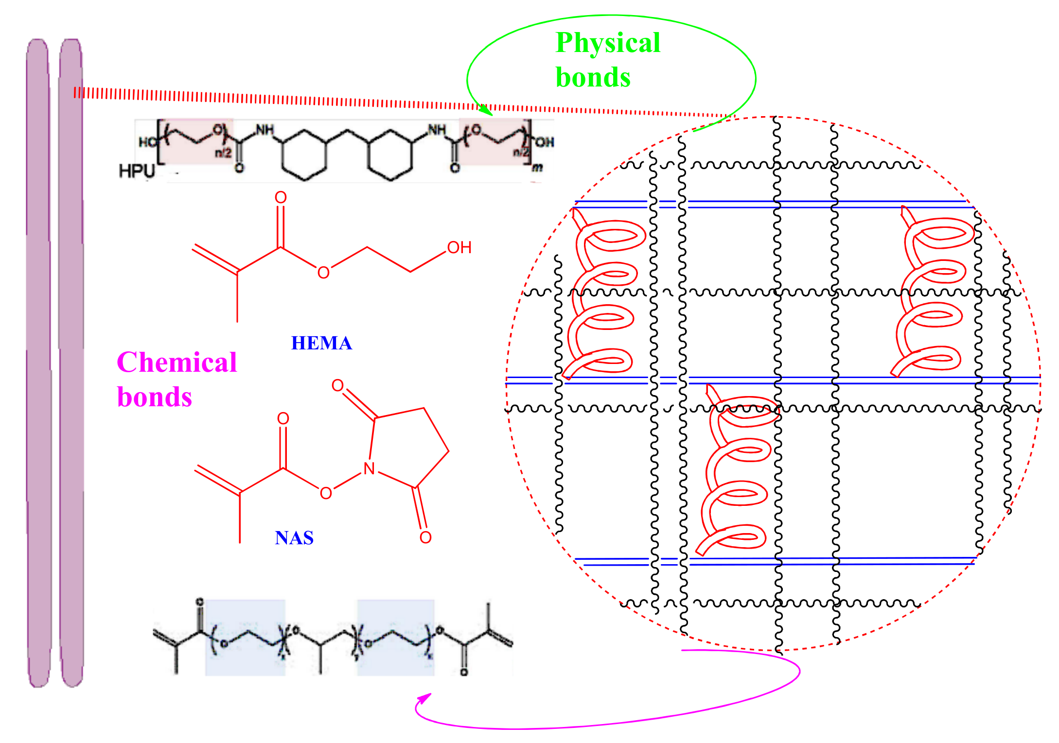 Polymers 13 02467 g008