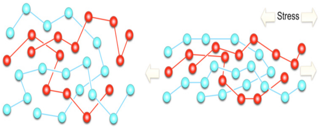 Polymers 13 02467 i002