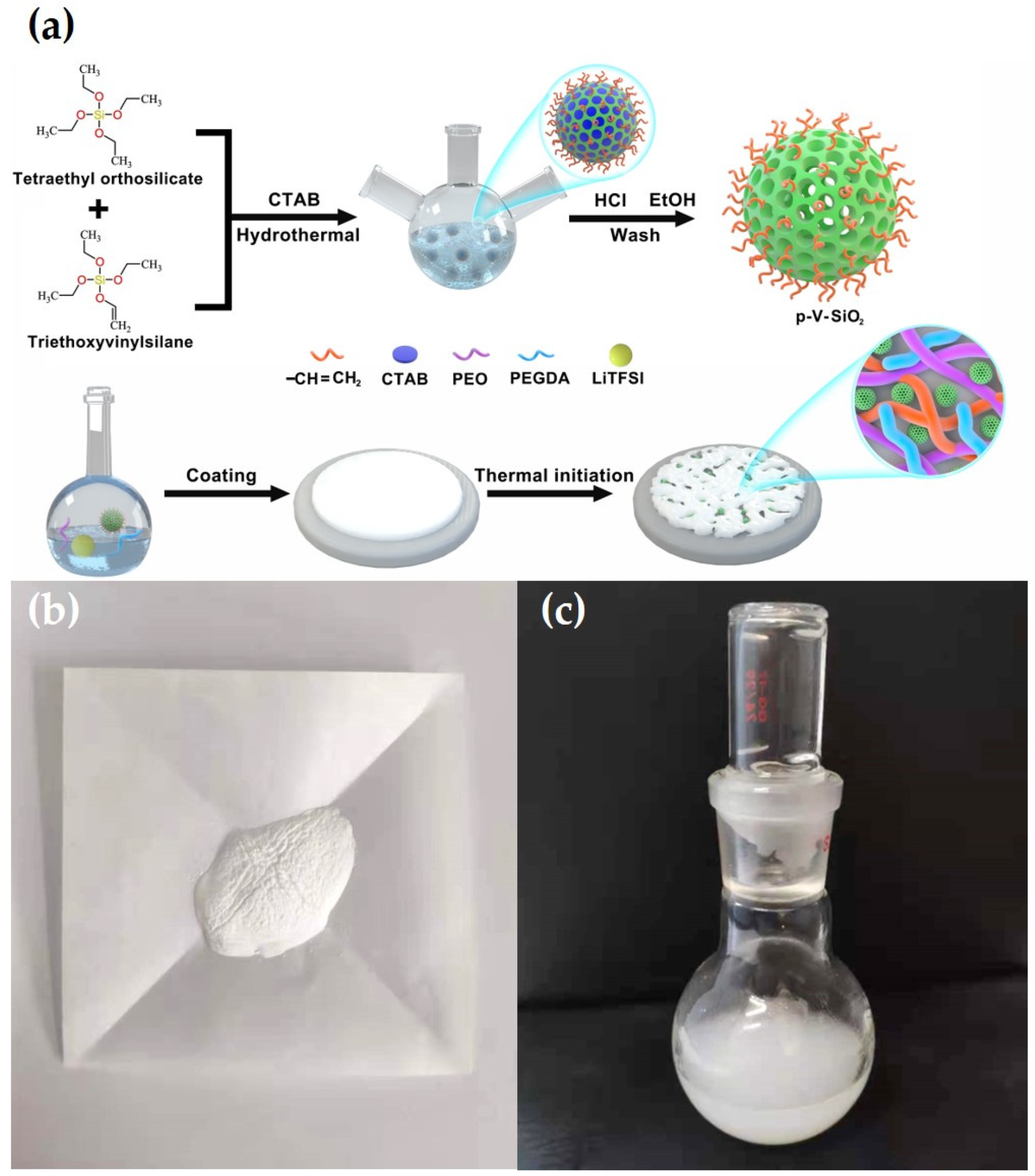 Polymers 13 02468 g001