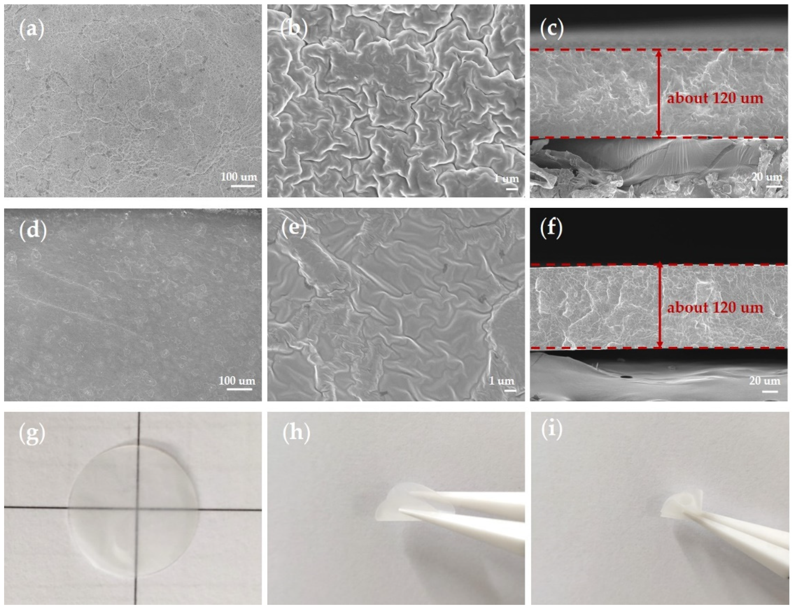 Polymers 13 02468 g004