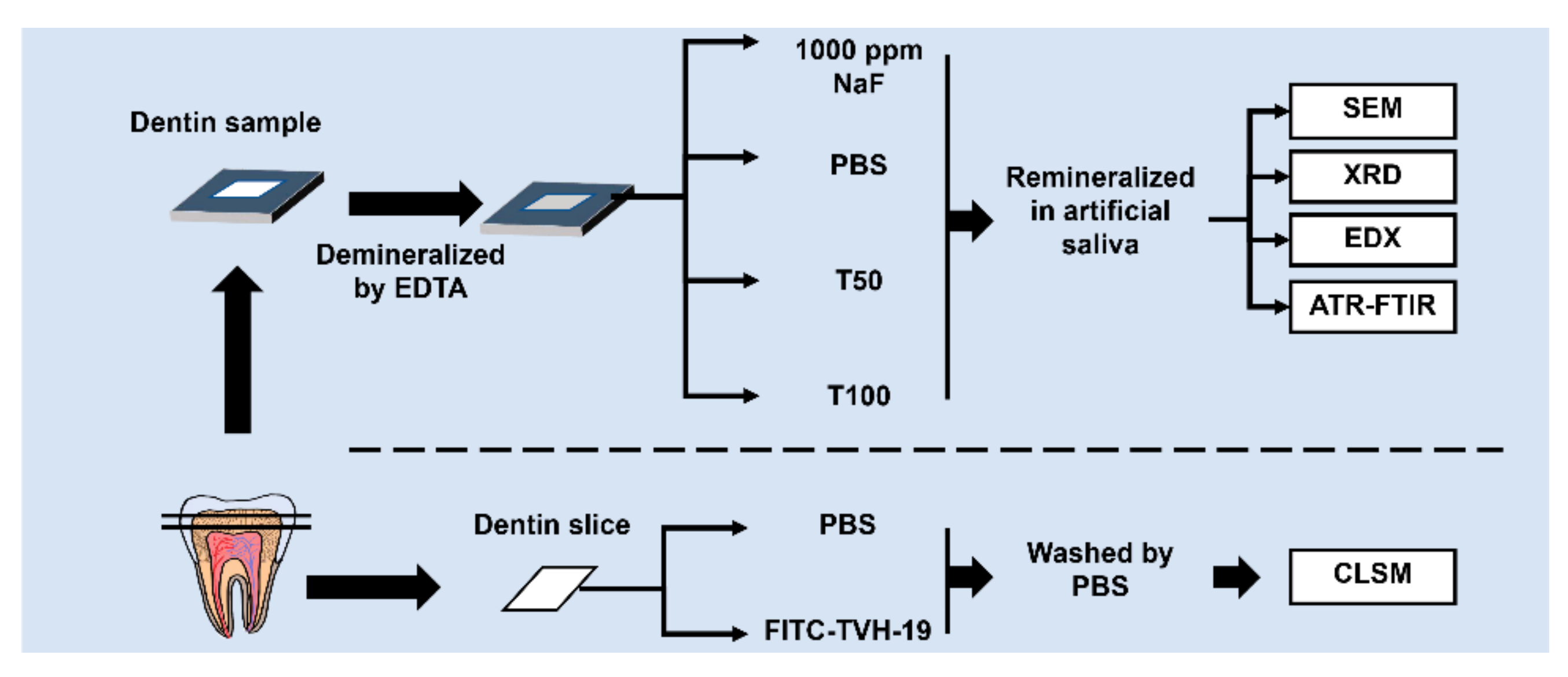 Polymers 13 02473 g001