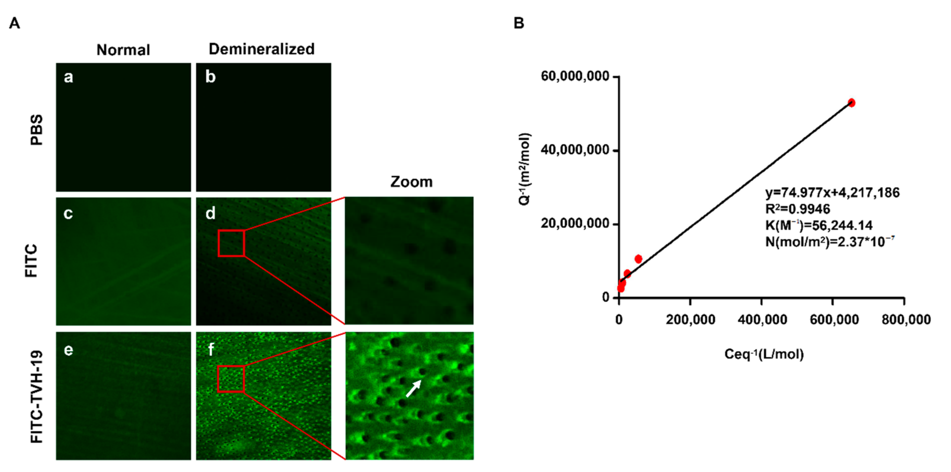 Polymers 13 02473 g002