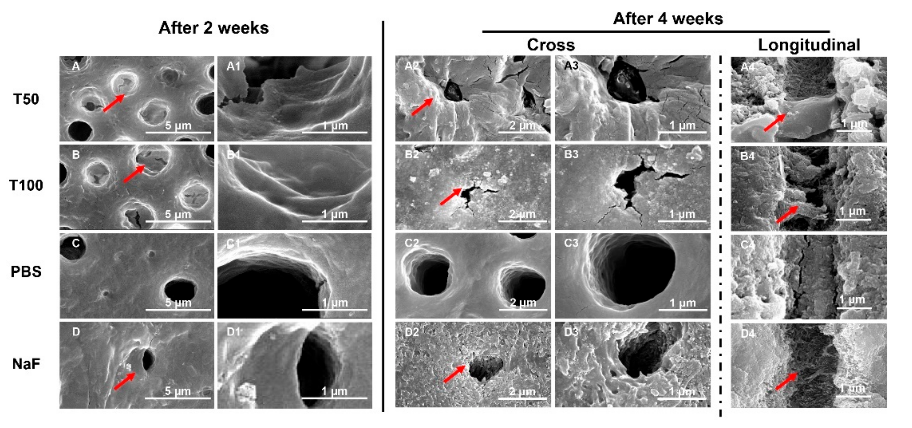 Polymers 13 02473 g003