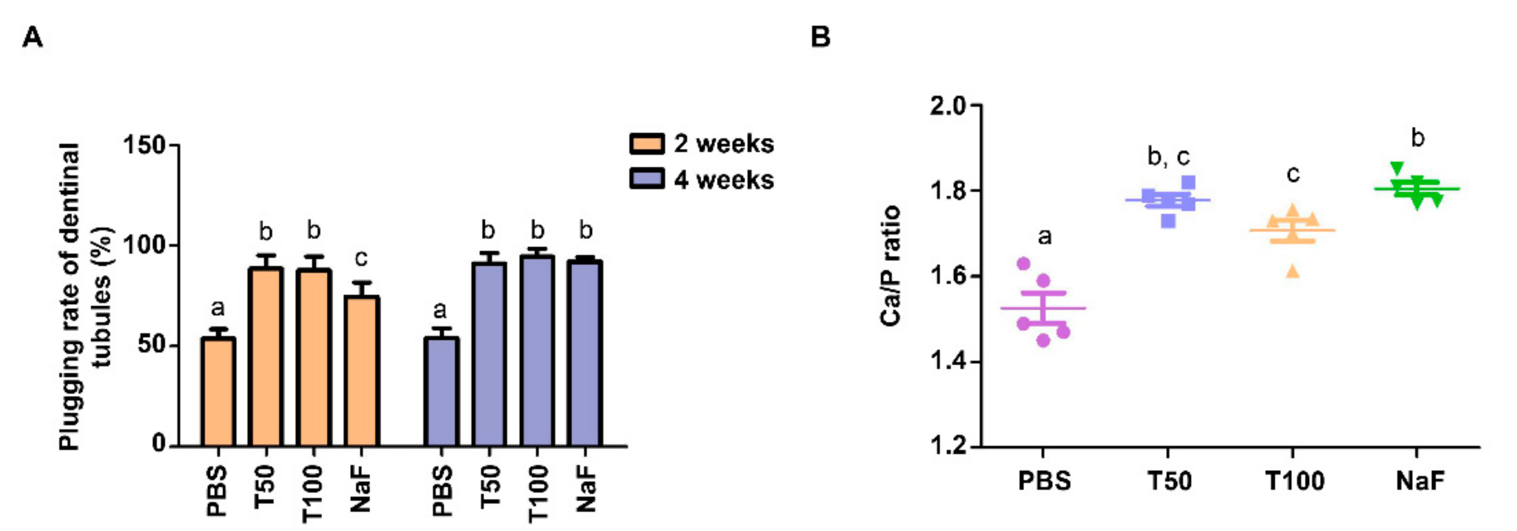 Polymers 13 02473 g004
