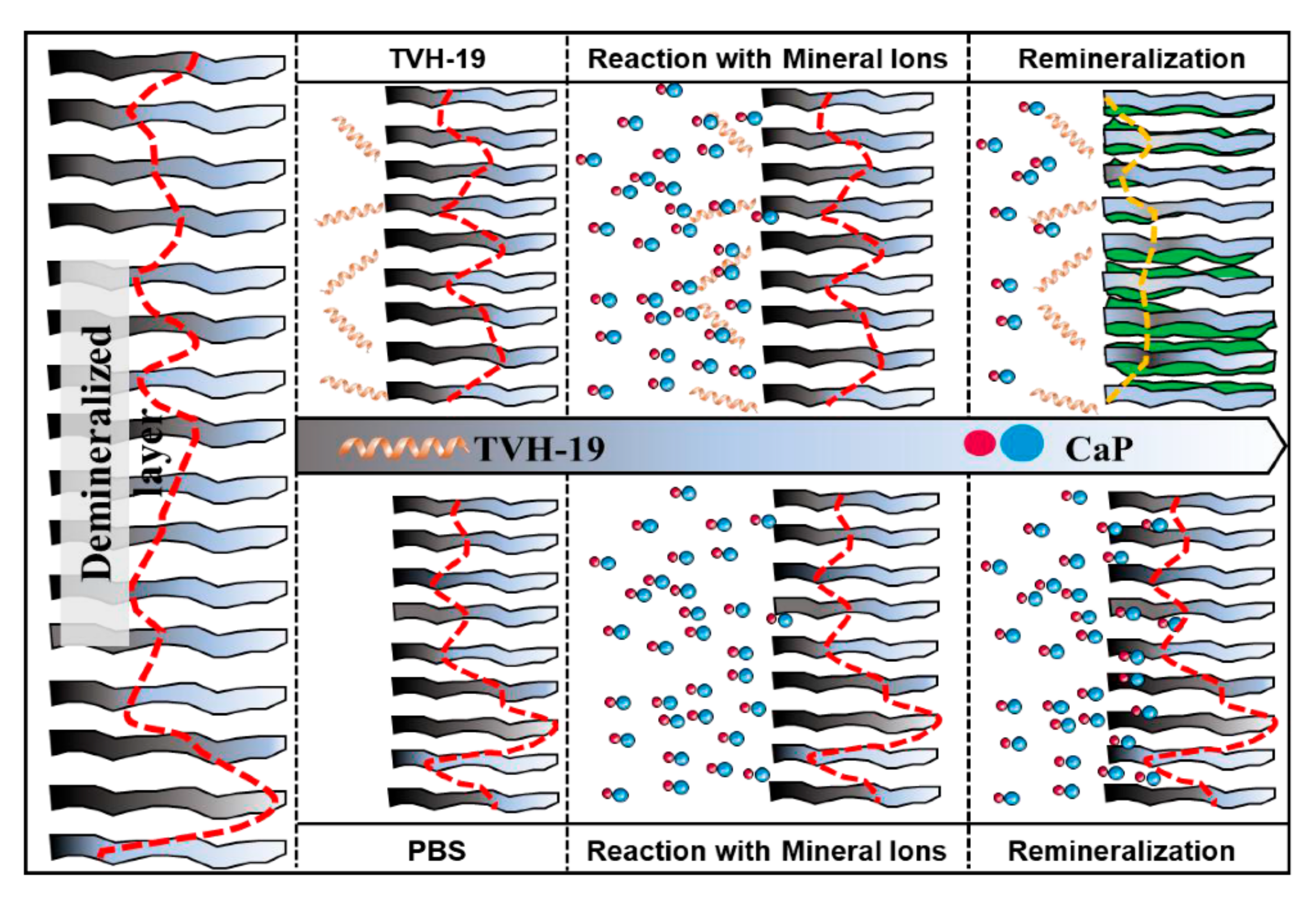 Polymers 13 02473 g006