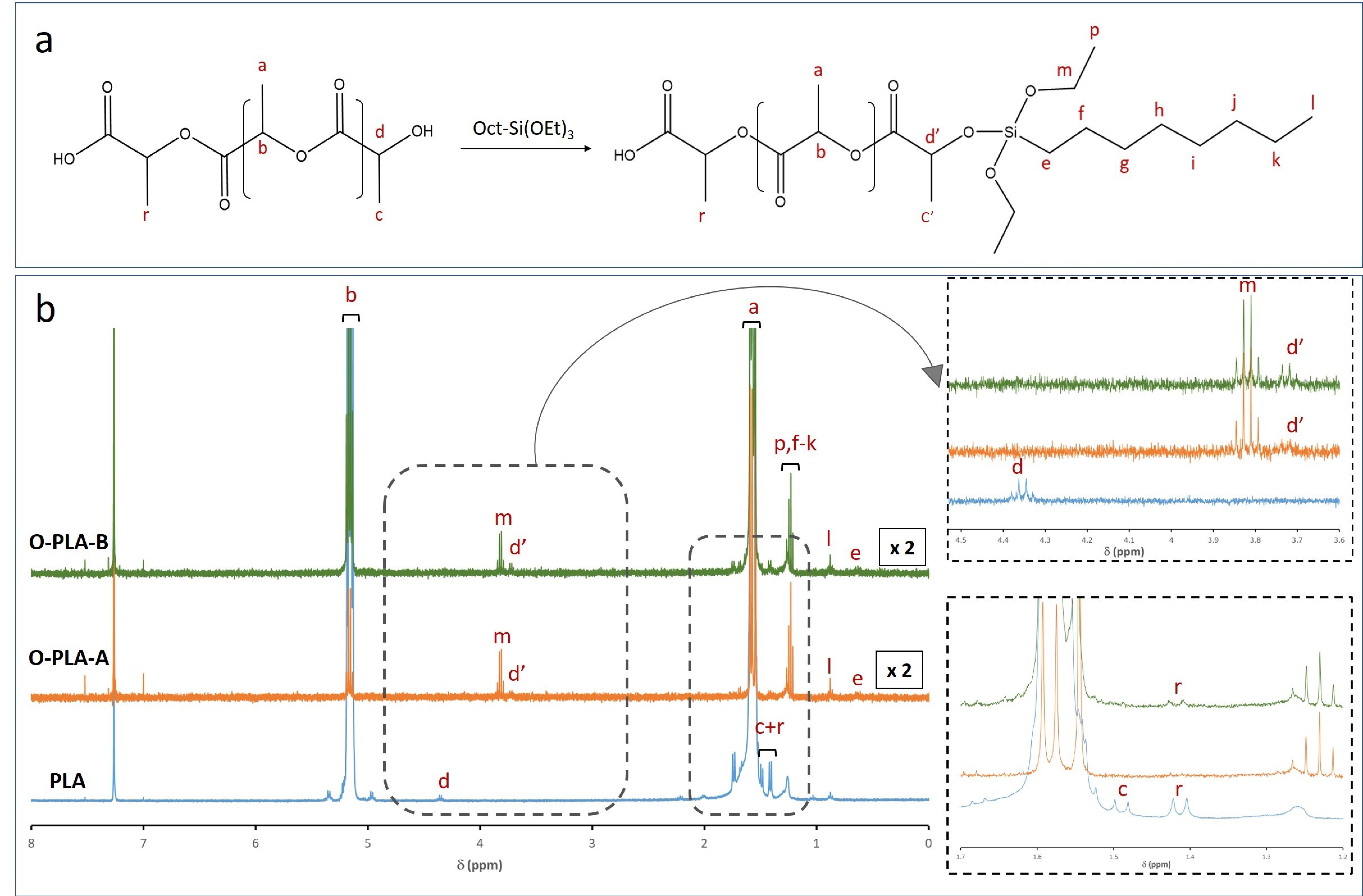 Polymers 13 02475 g002