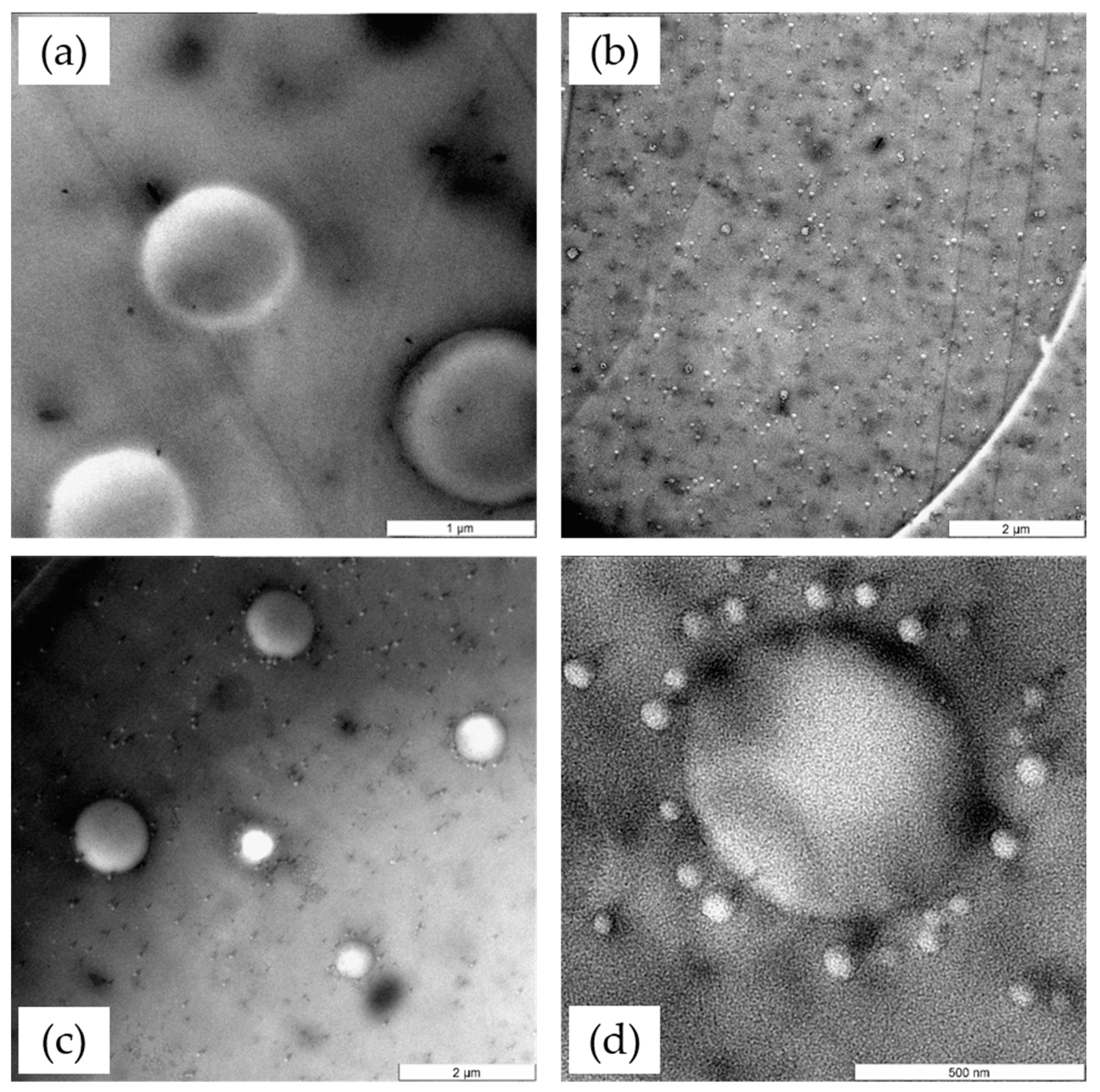 Polymers 13 02477 g003 Polymers 13 02477 g003