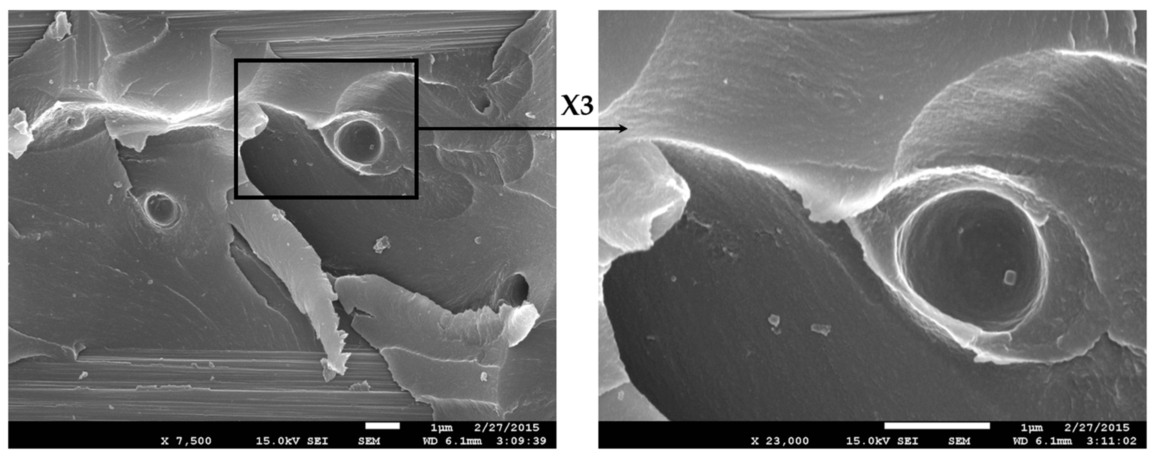 Polymers 13 02477 g009 Polymers 13 02477 g009
