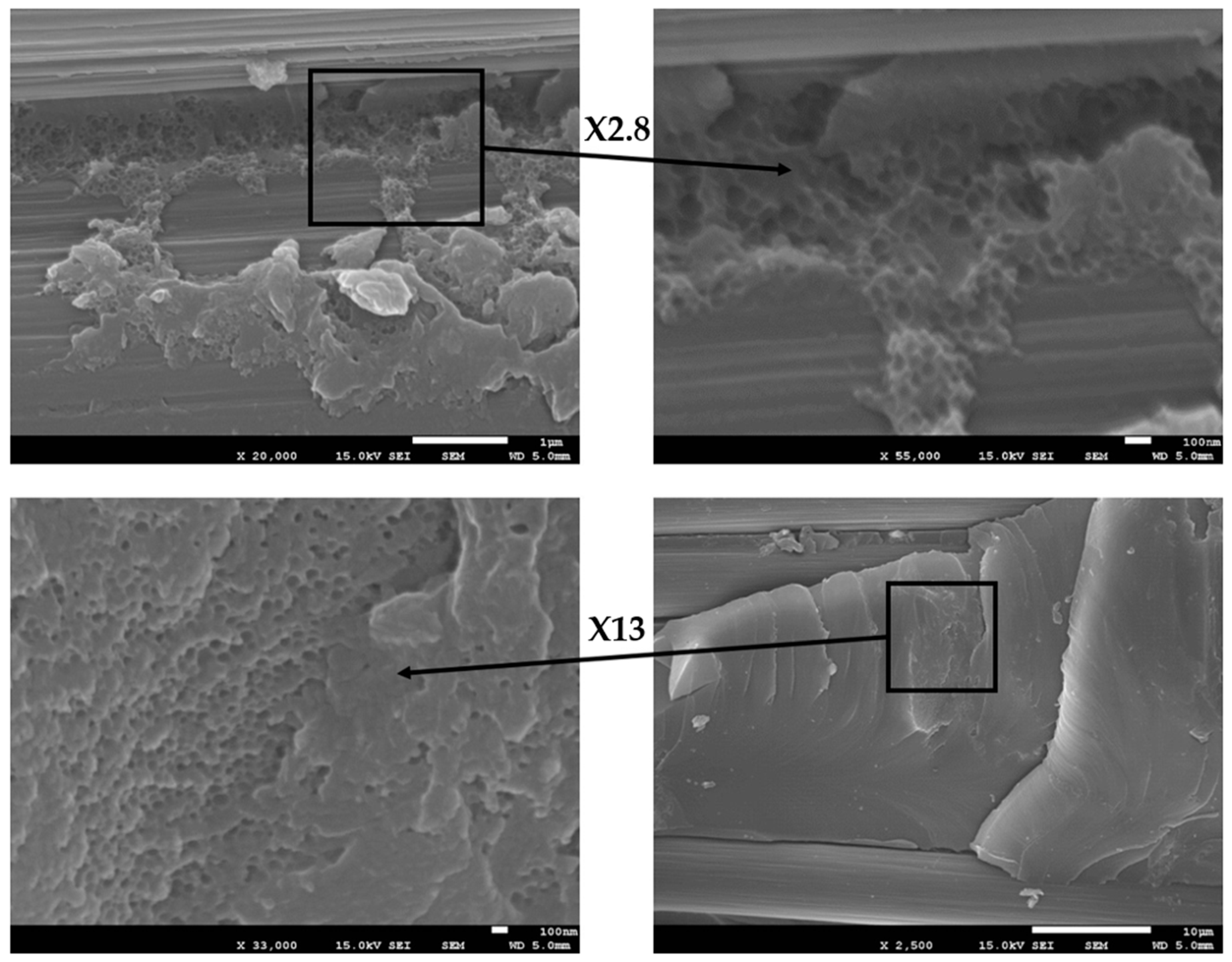 Polymers 13 02477 g010 Polymers 13 02477 g010