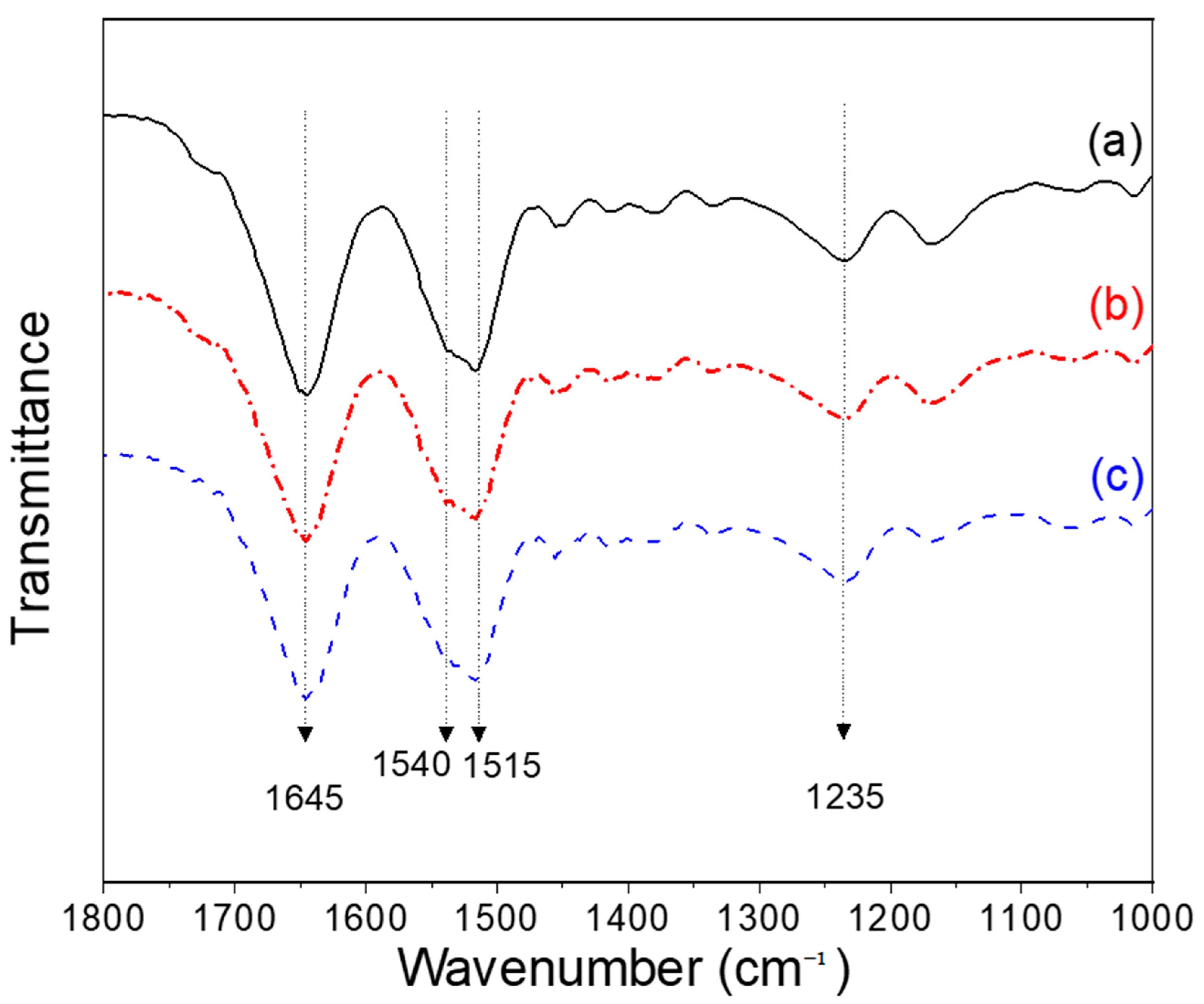 Polymers 13 02479 g005