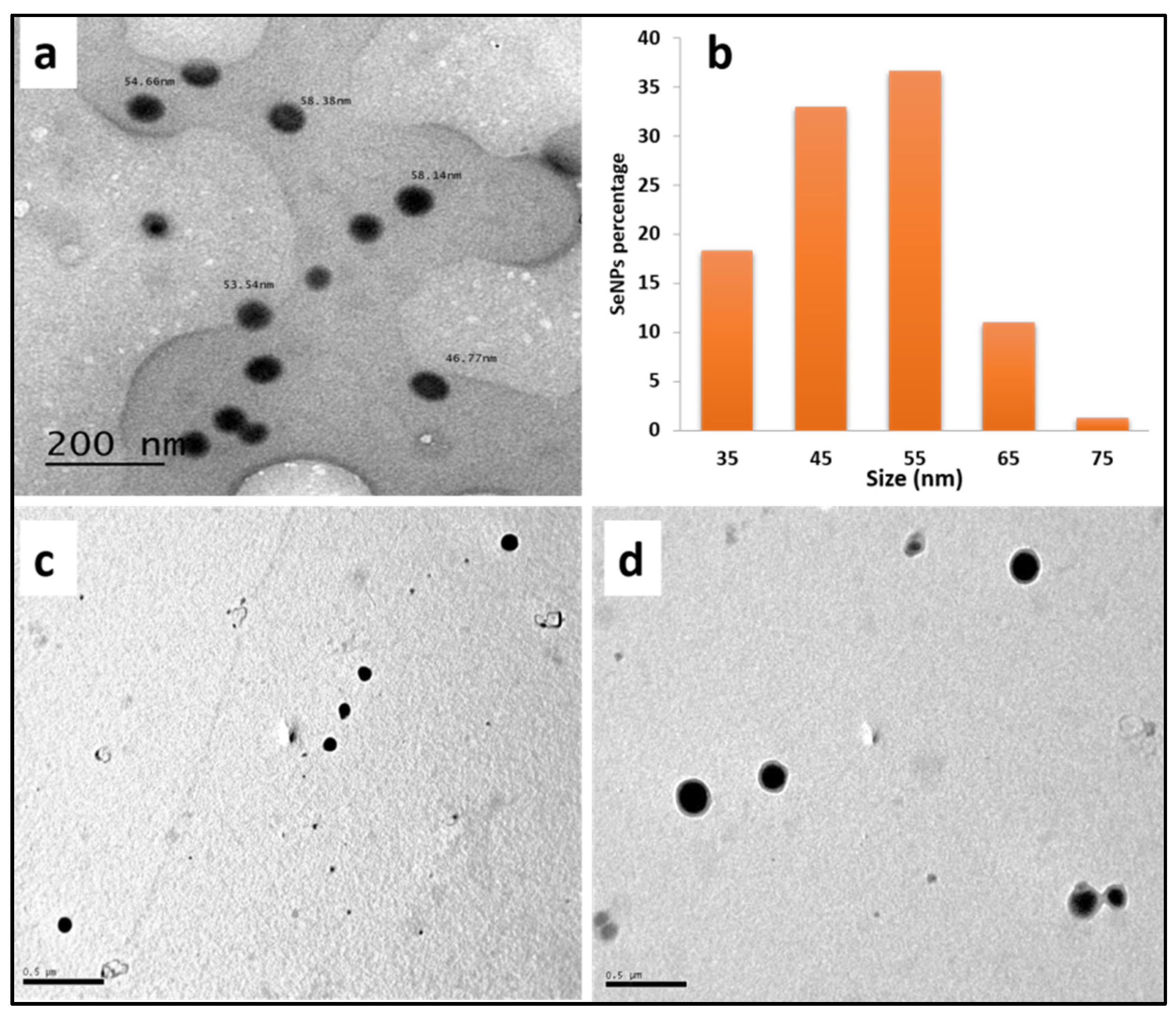 Polymers 13 02483 g001