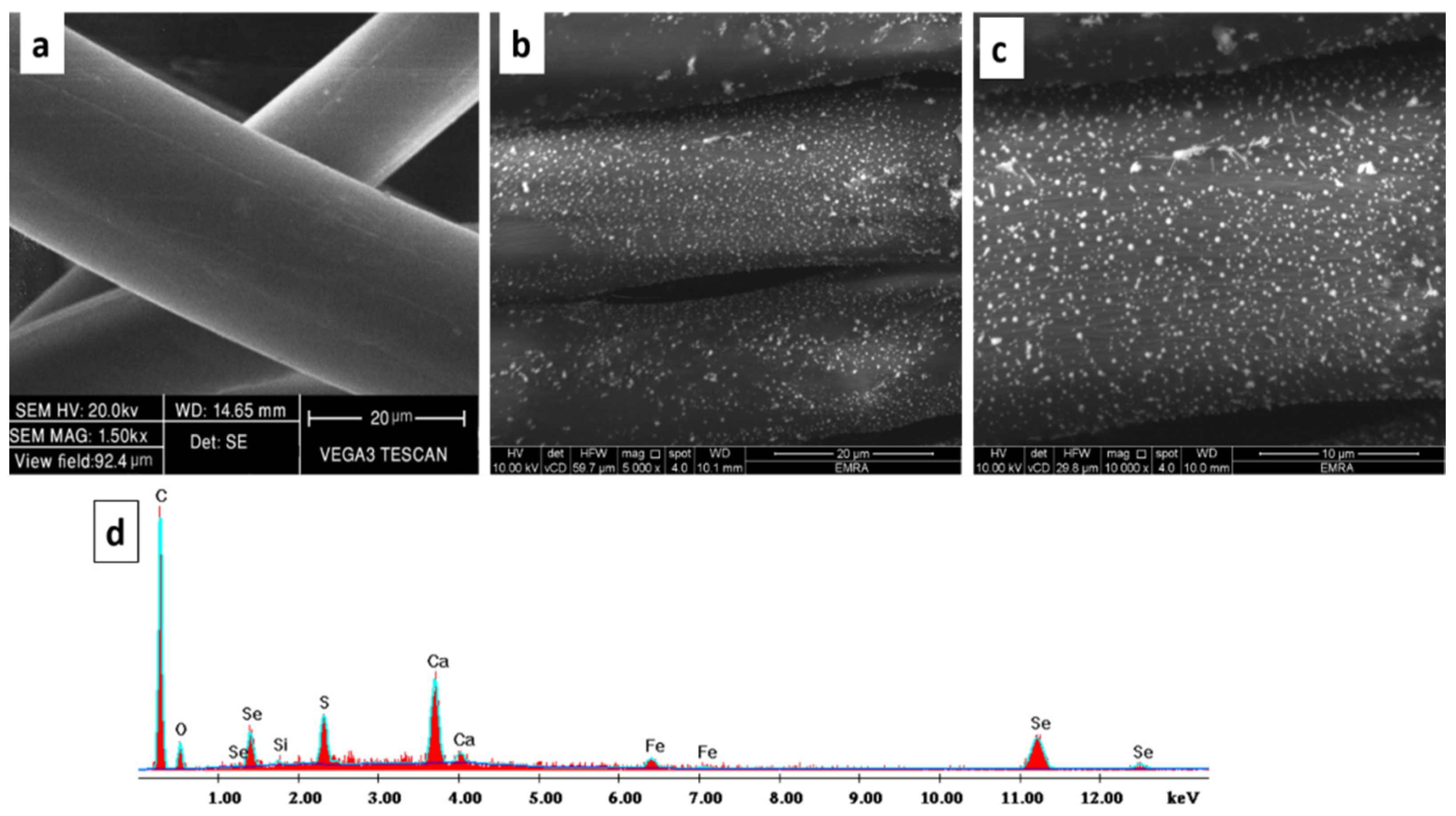 Polymers 13 02483 g004