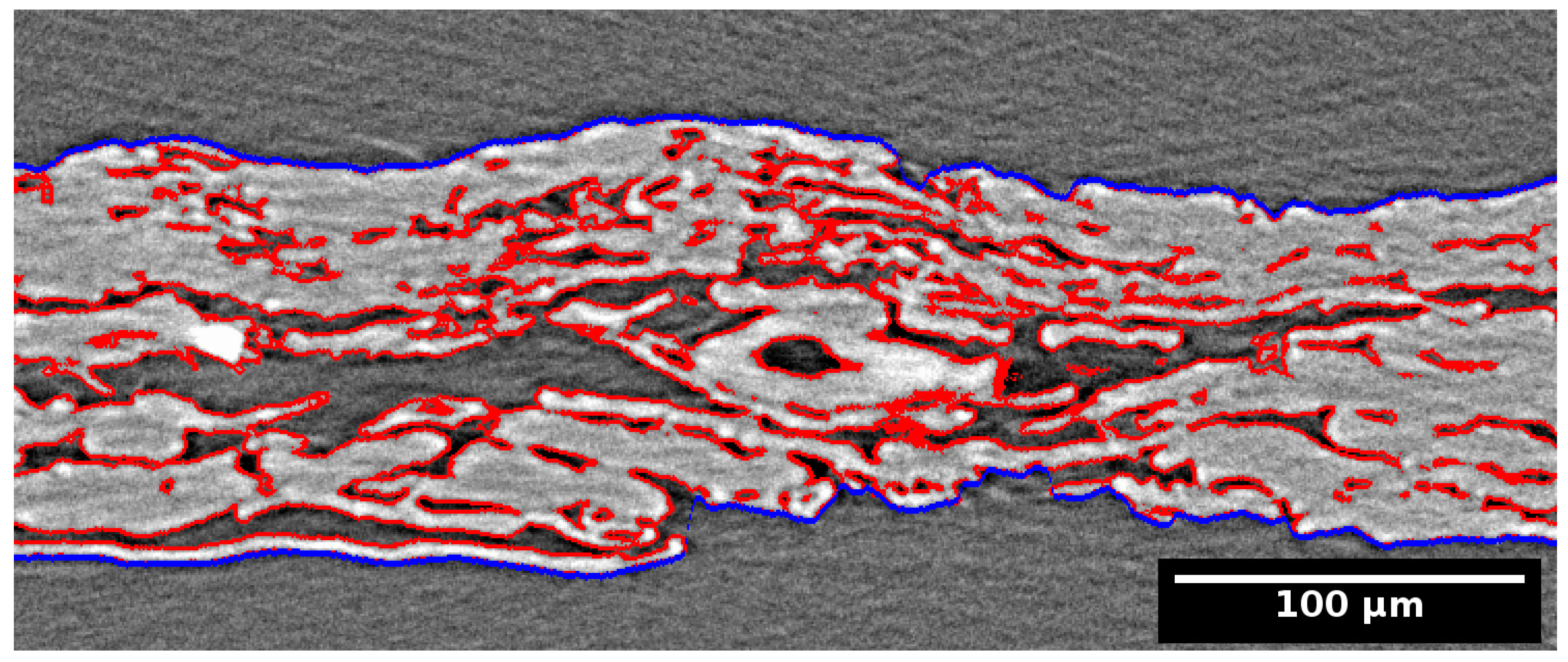 Polymers 13 02485 g002