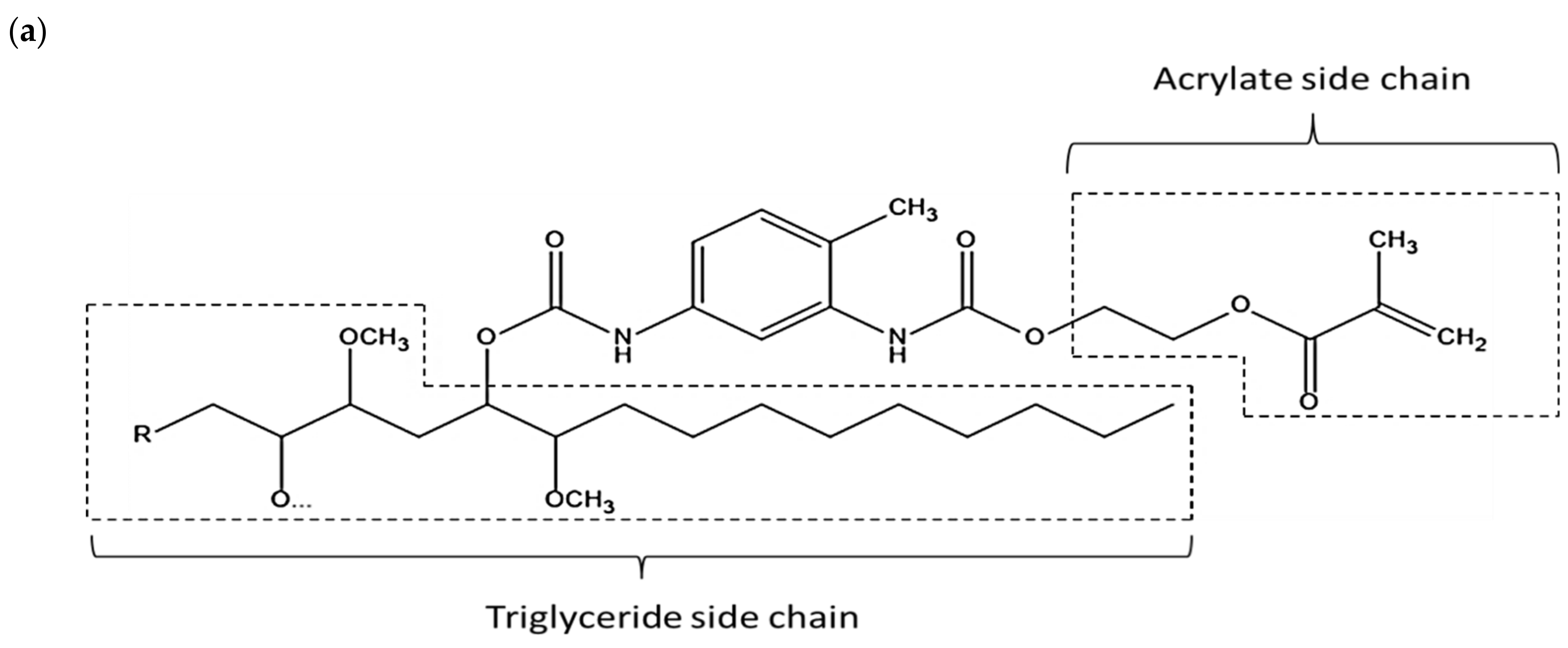 Polymers 13 02490 g004a