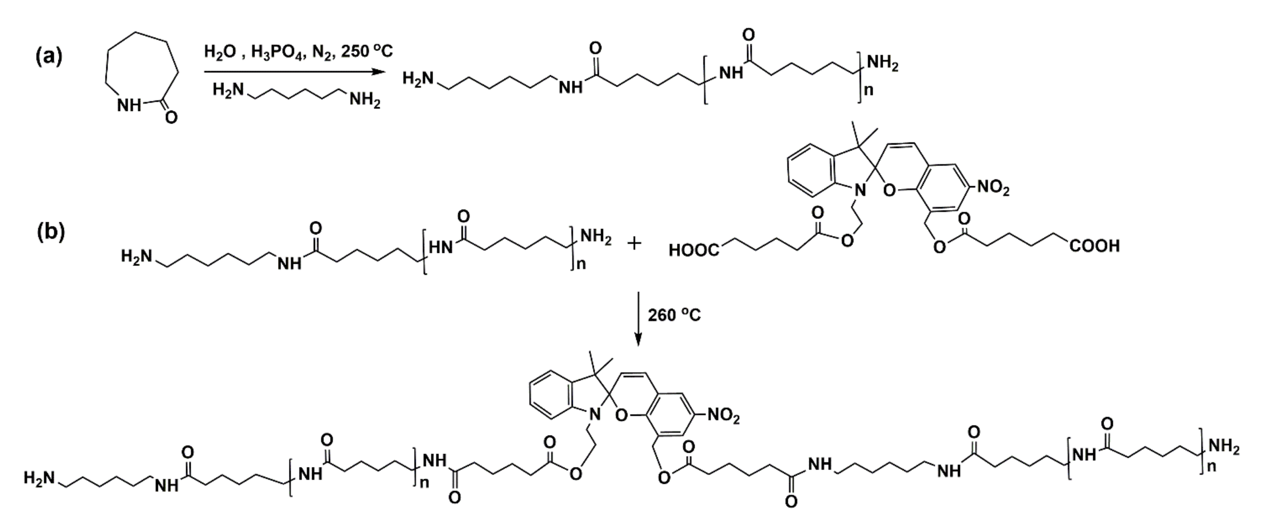 Polymers 13 02496 sch002 Polymers 13 02496 sch002