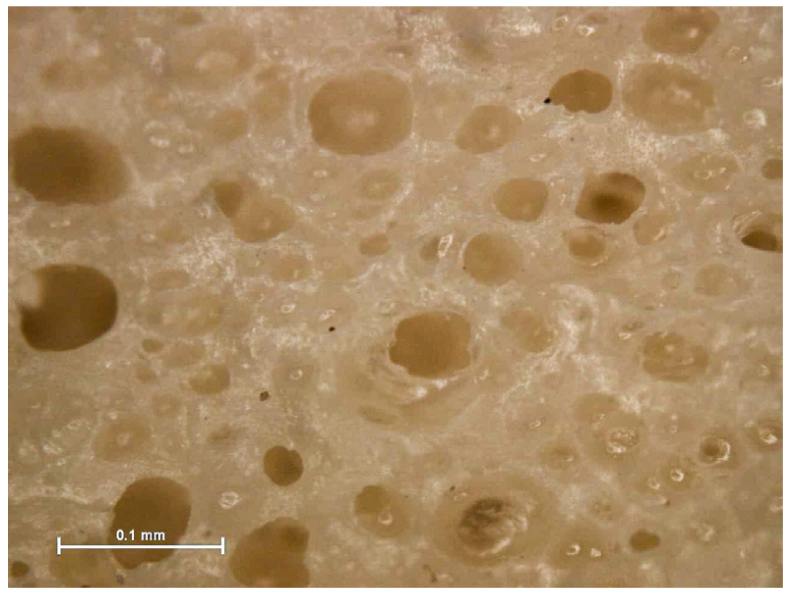 Polymers 13 02497 g009 Polymers 13 02497 g009