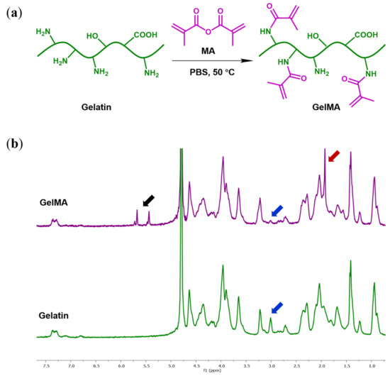 Polymers 13 02508 g001 550