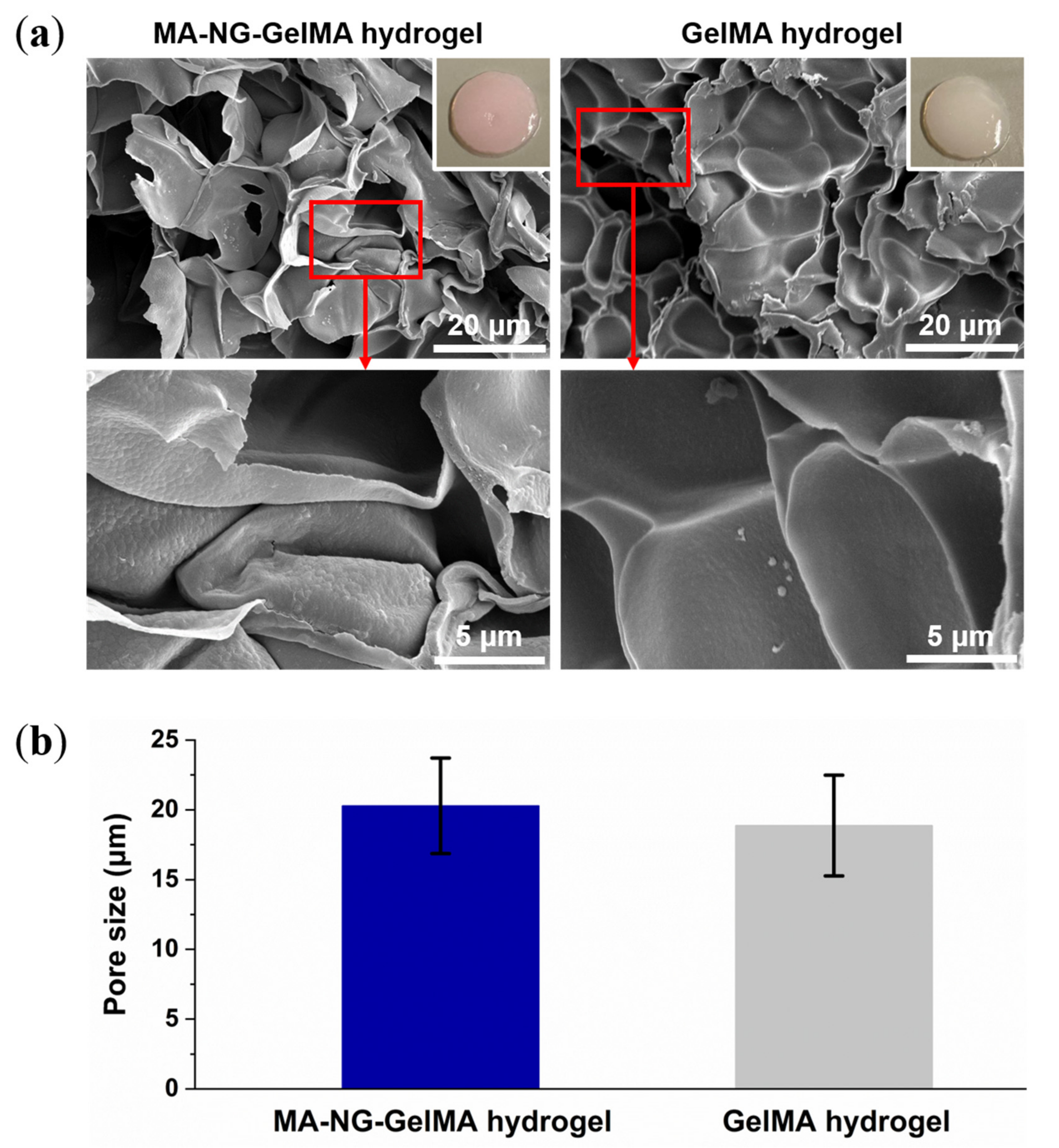 Polymers 13 02508 g005