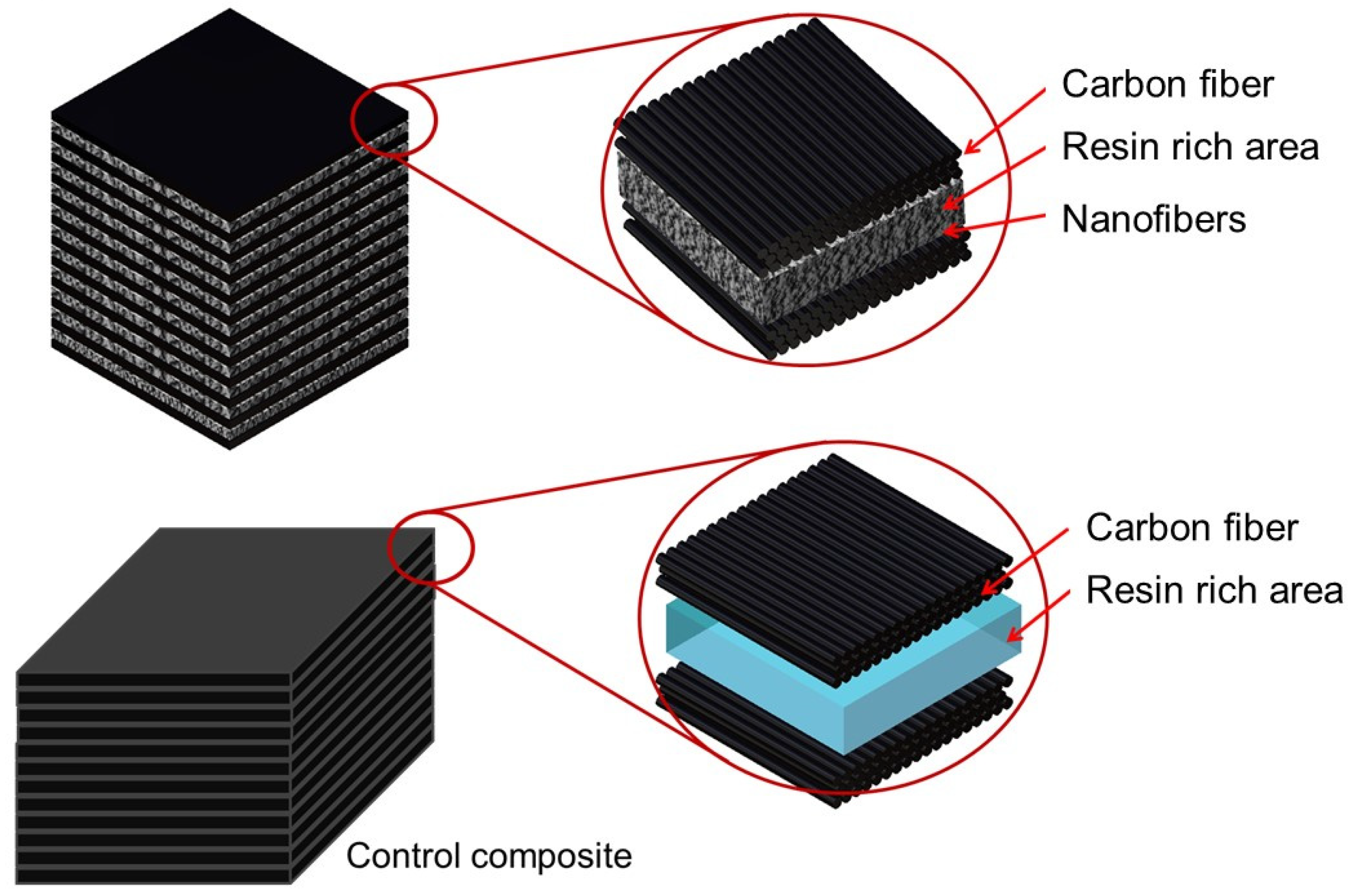 Polymers 13 02509 g002