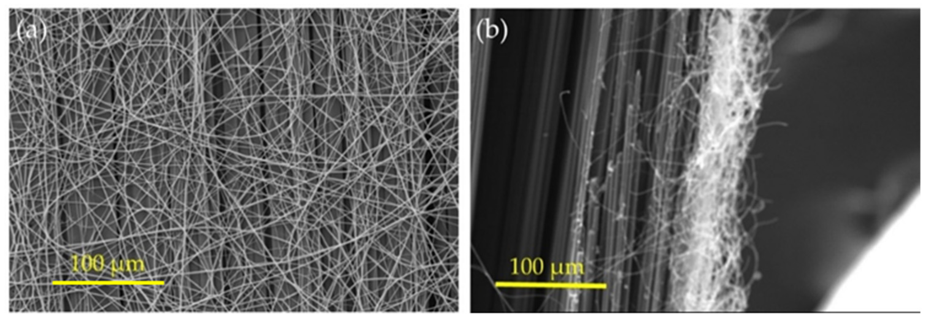 Polymers 13 02509 g003
